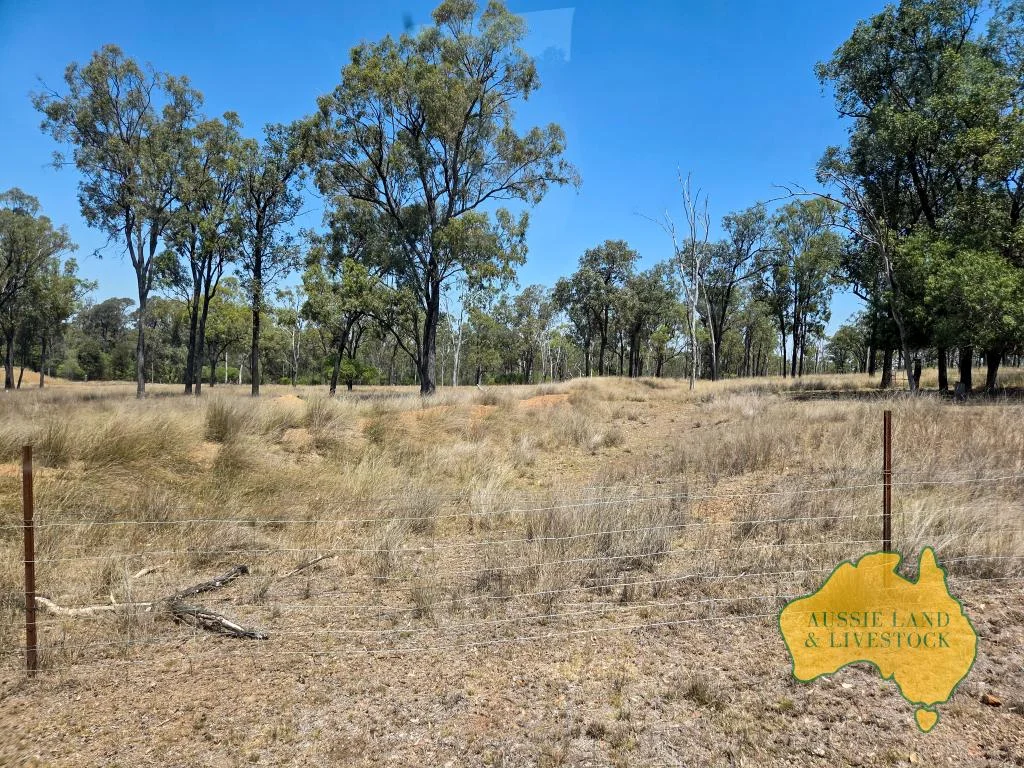 Additional image 37 of 110 BENHAMS ROAD, Mundubbera QLD 4626