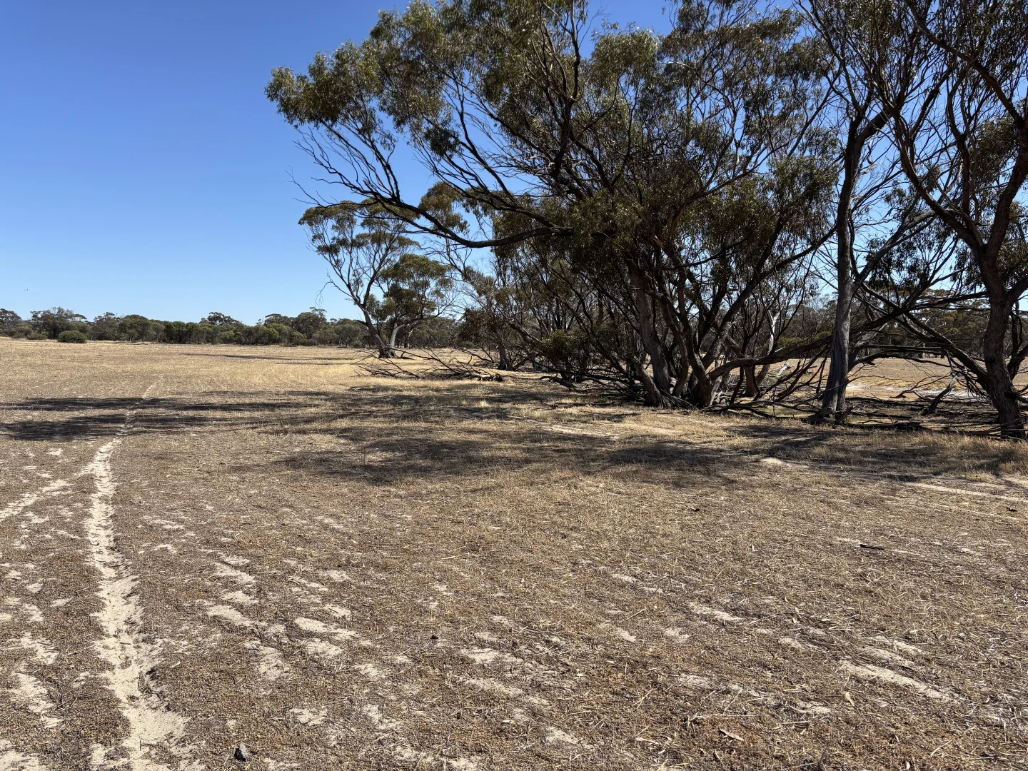 Additional image 18 of . 'Cobbers Soak', Quairading WA 6383