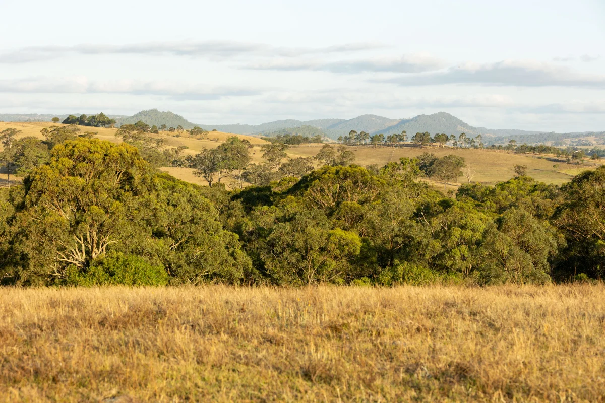 Additional image 21 of 880D Elderslie Road, Elderslie NSW 2335