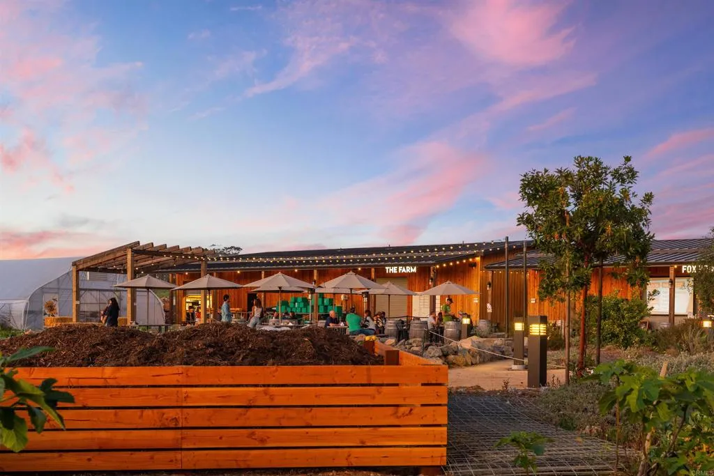 Additional image 50 of 1044 Palmaria Court, Encinitas, CA 92024