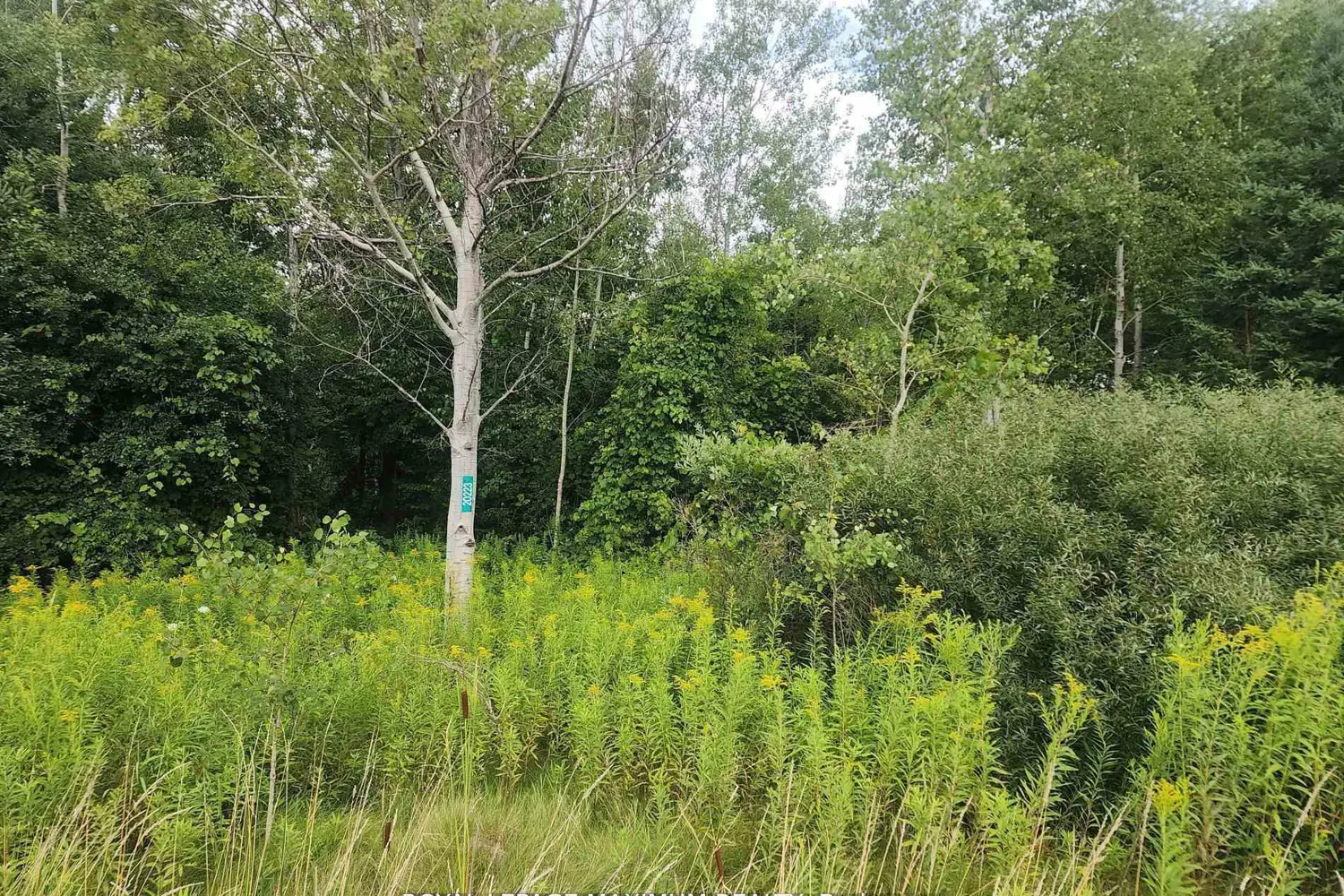 Additional image 9 of 20223 Bathurst Street