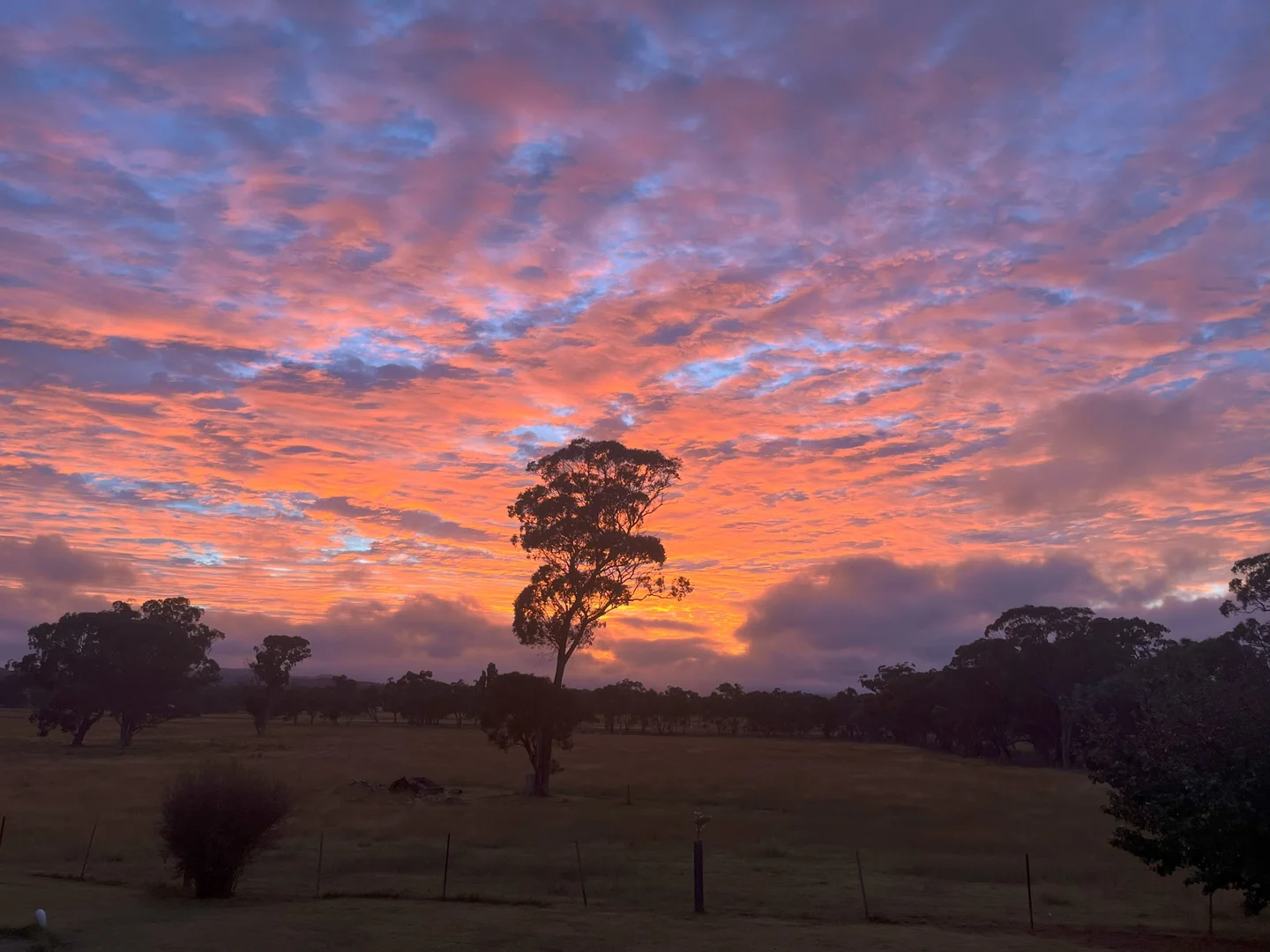 Additional image 5 of 1254 Nant Park Road, Deepwater NSW 2371