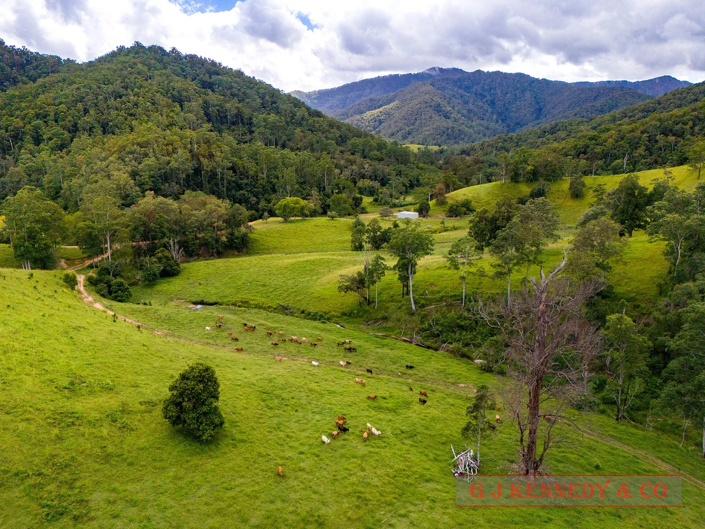 Lot 104/123 Thumb Creek Rd, Thumb Creek NSW 2447