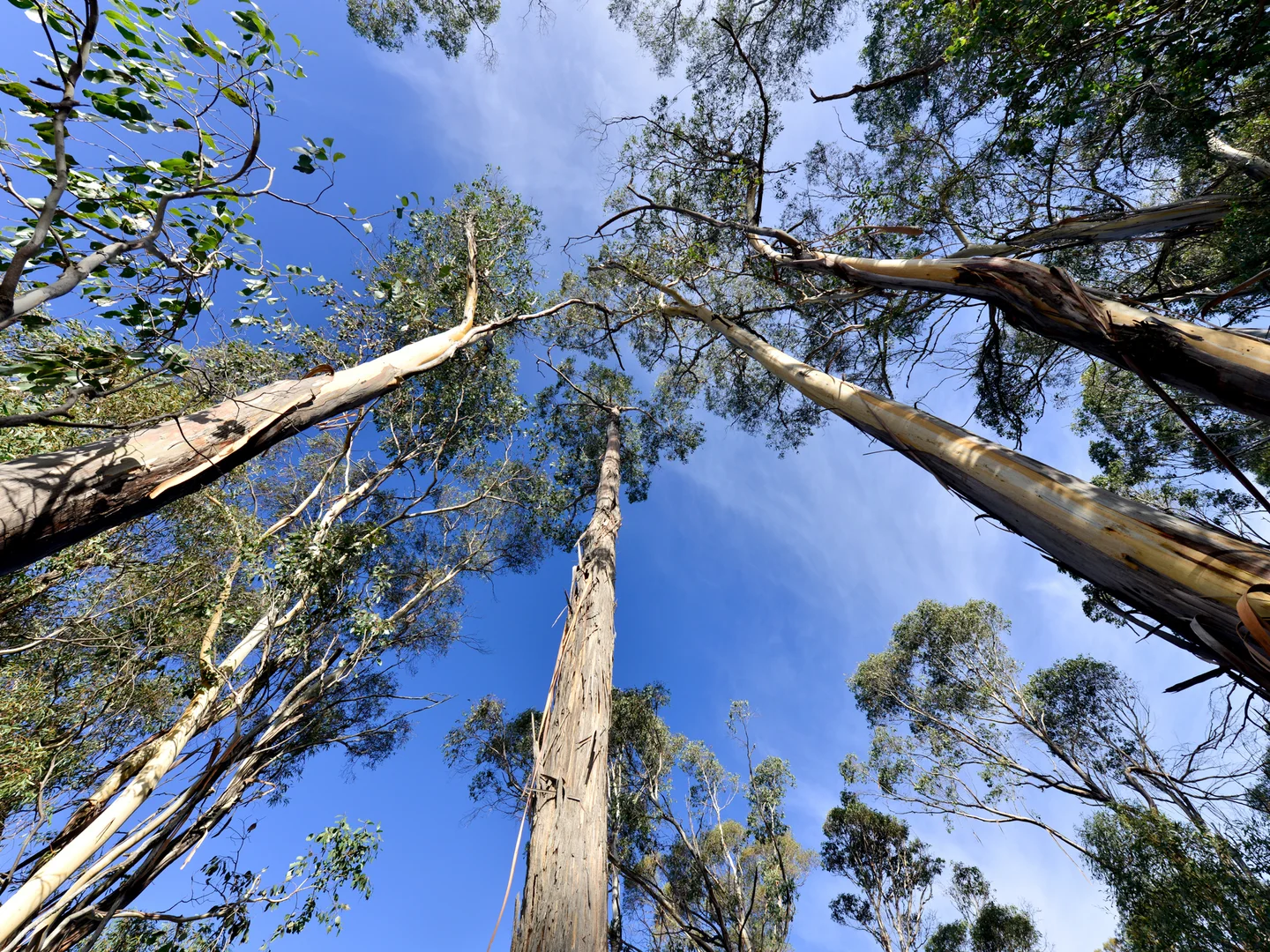 Additional image 20 of 172 Mcguires Marsh Road, Osterley TAS 7140