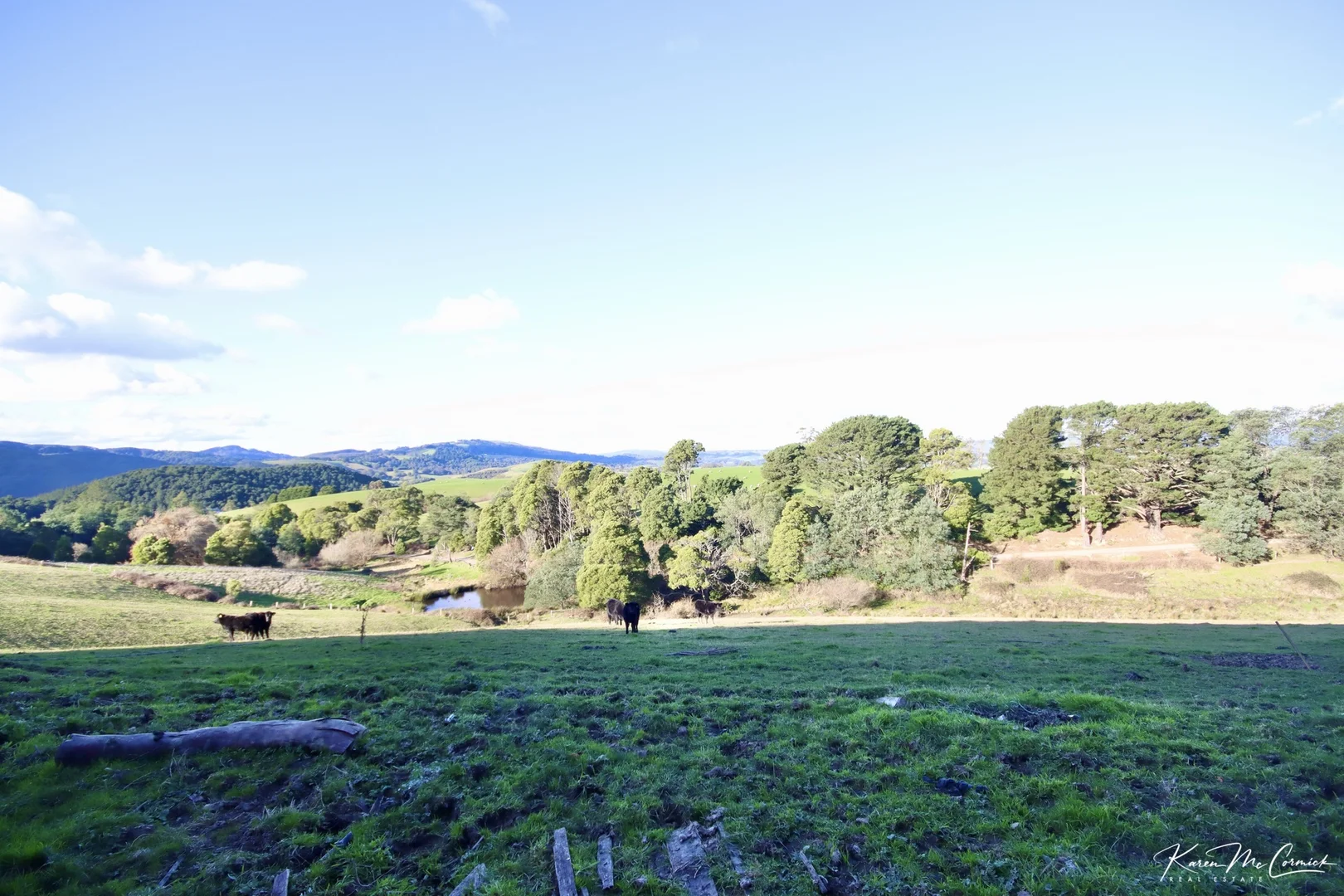 Additional image 11 of 200 Wonga Square Top Road, Wonga VIC 3960