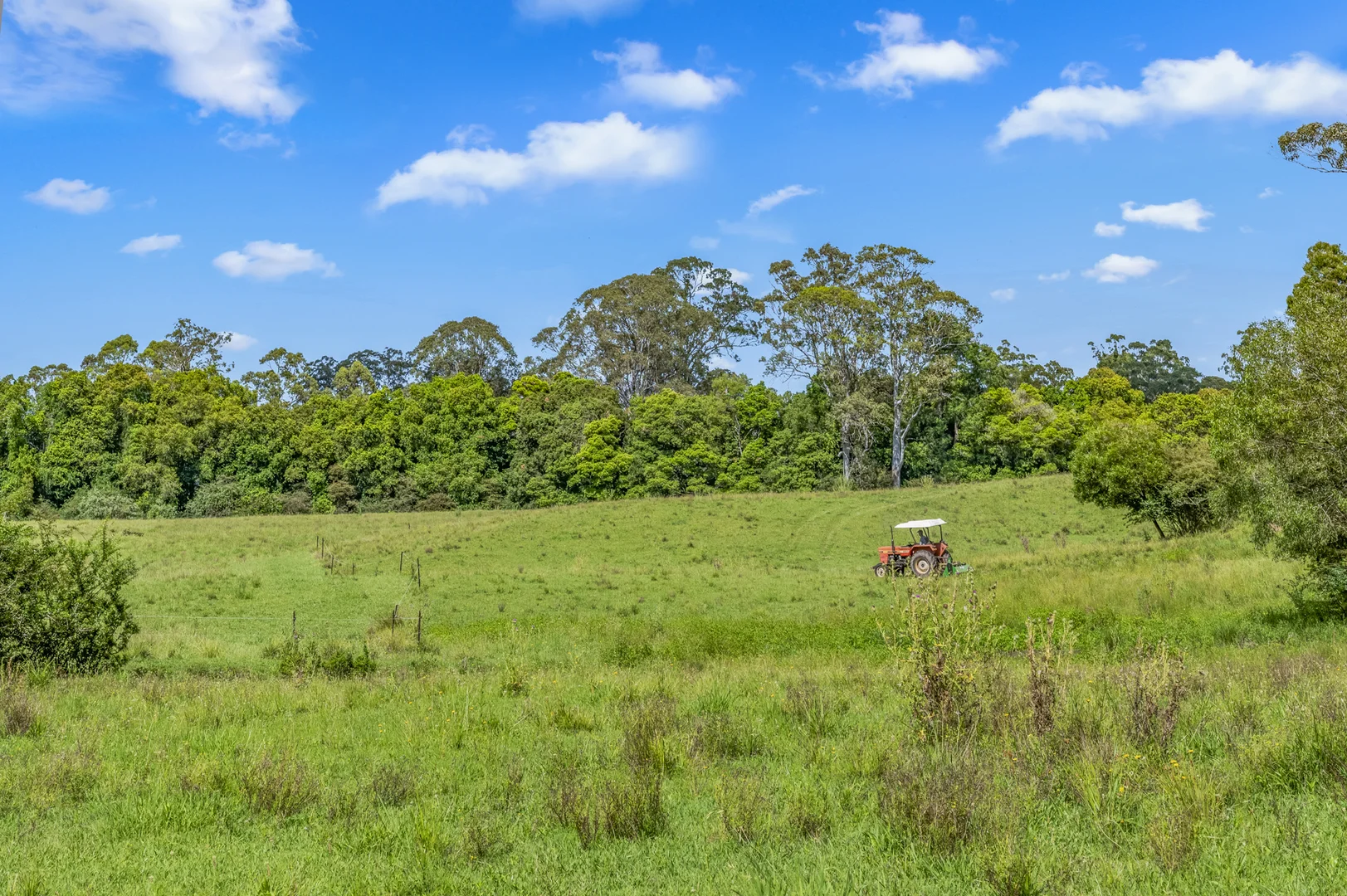 Additional image 34 of 3201 Wallanbah Road, Dyers Crossing NSW 2429