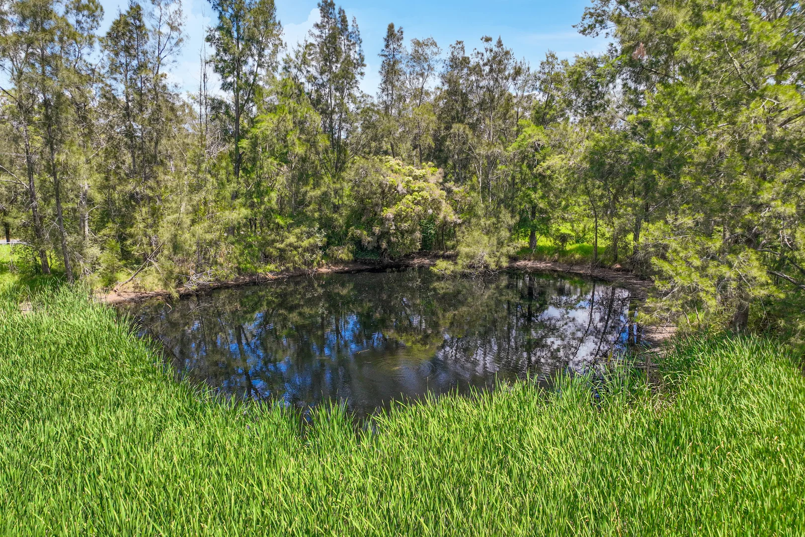Additional image 17 of 92 Frame Drive, Abermain NSW 2326