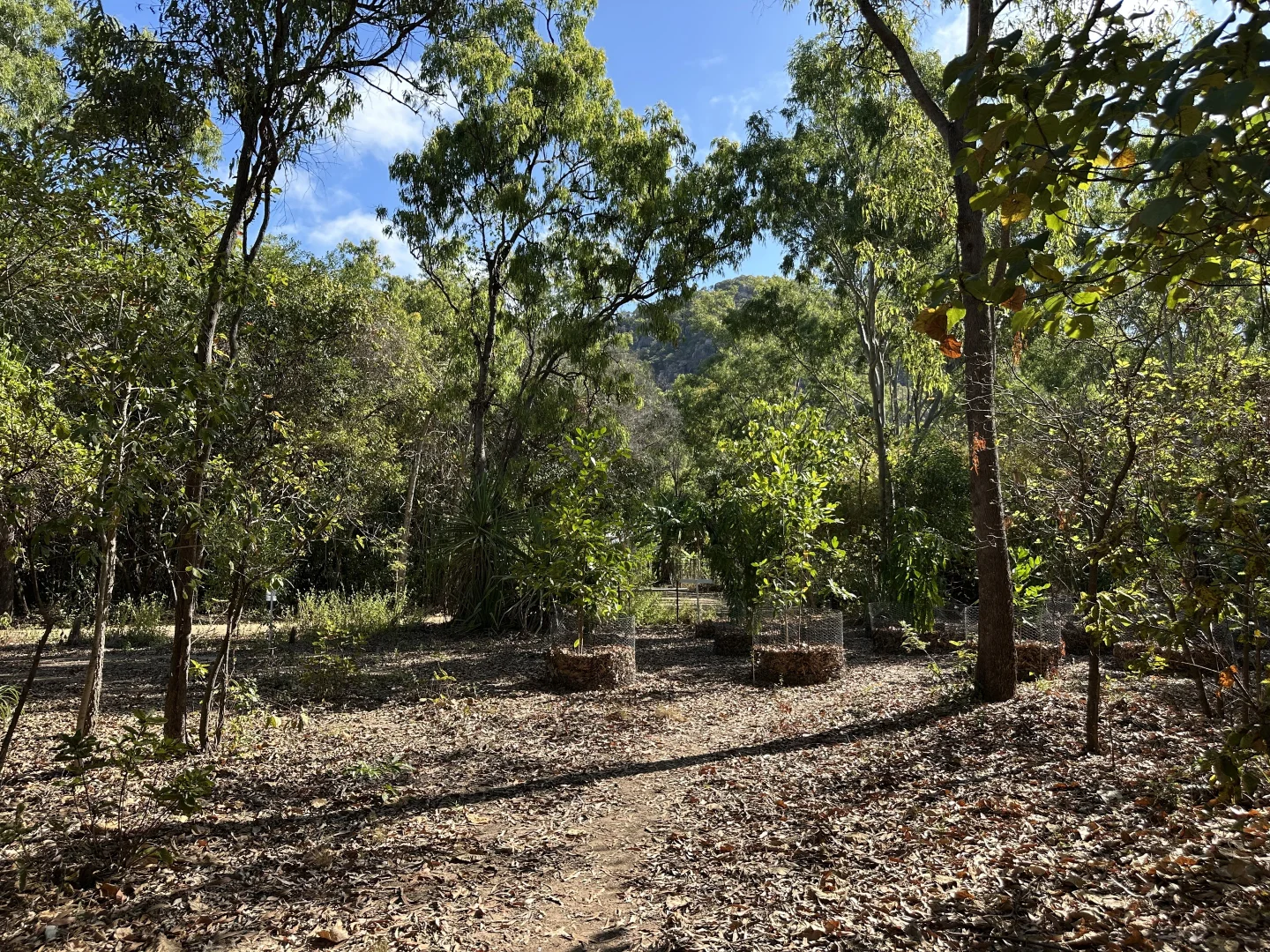 Additional image 29 of 28 Pollard St, Horseshoe Bay QLD 4819