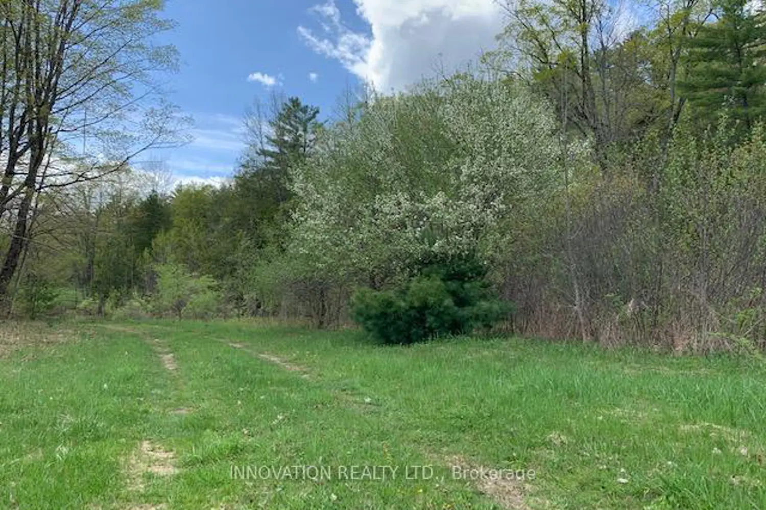 Additional image 4 of 1603 Flower Station Road