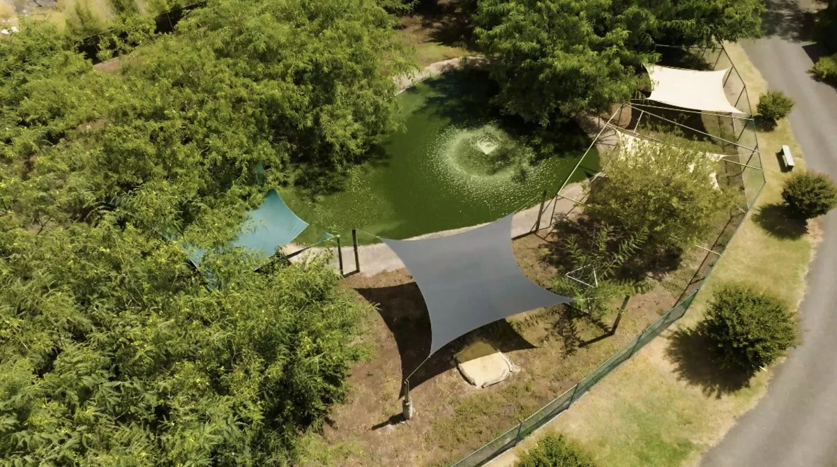 Additional image 7 of 21 Baines Road, Pilton QLD 4361