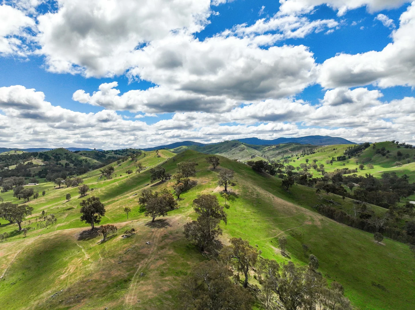 Additional image 8 of 112 Dry Creek Road, Bonnie Doon VIC 3720