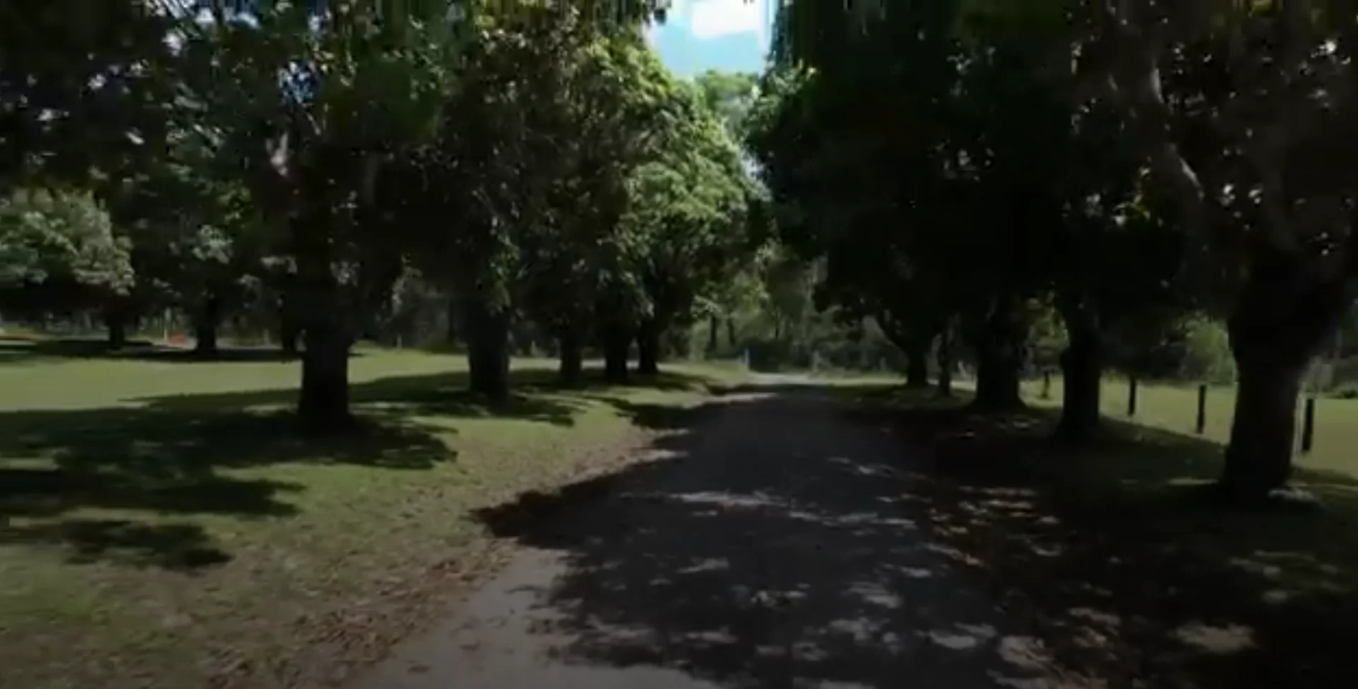 Additional image 8 of Lot 3 Central Acres, Tinana QLD 4650