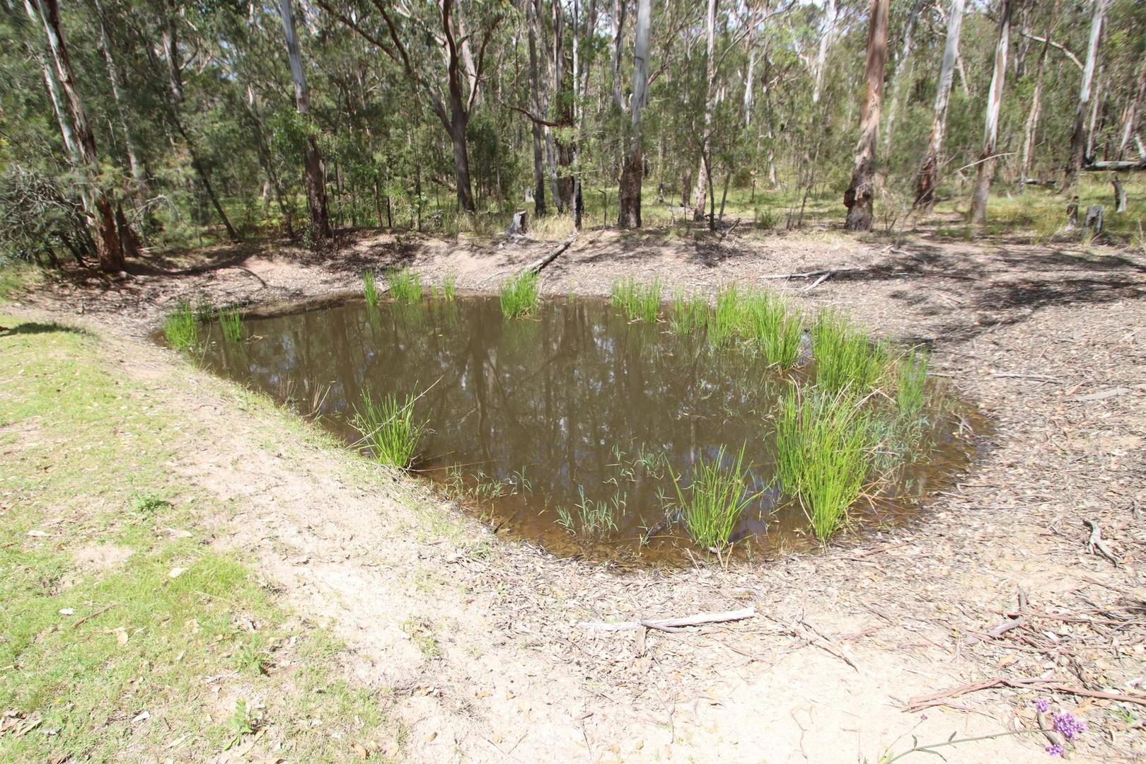 Additional image 18 of 2994 Mount Lindesay Road, Tenterfield NSW 2372