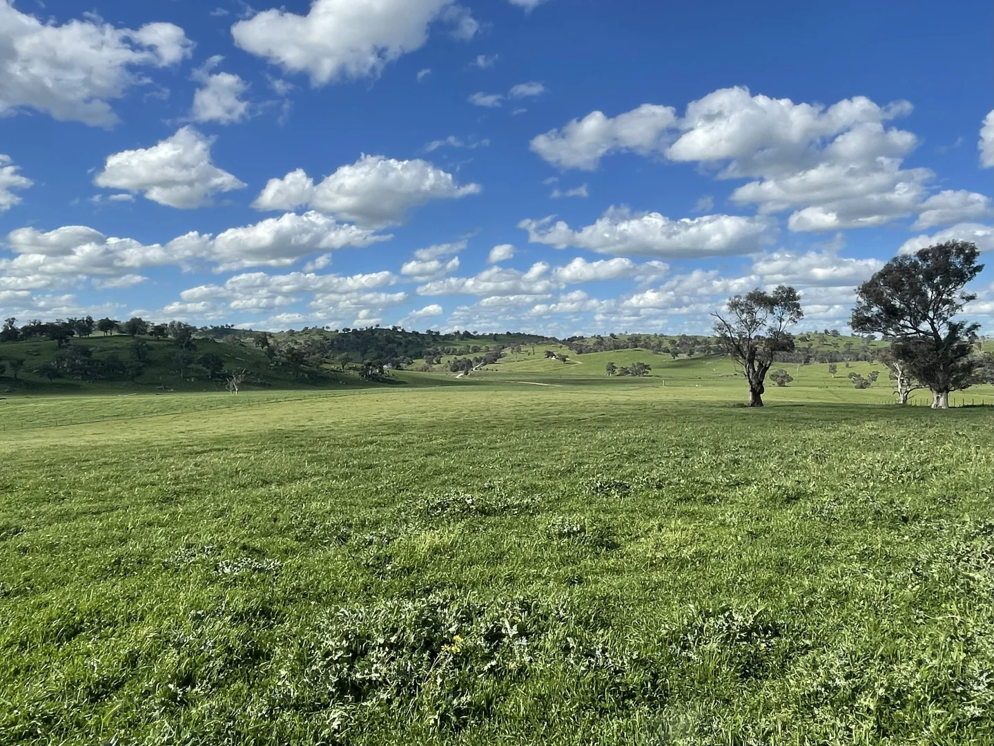 Additional image 5 of Lot Lot 4-5/3 Cooney's Creek Road, Jugiong NSW 2726