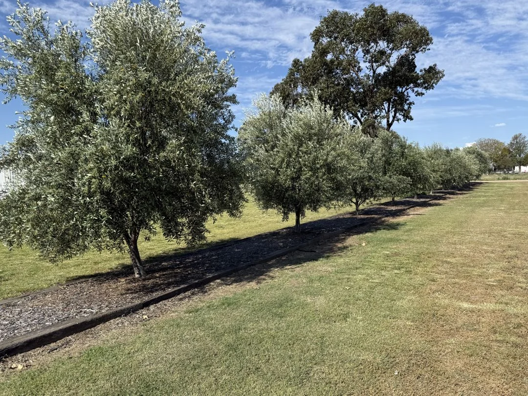 Additional image 21 of 155 River Road, Pallamallawa NSW 2399