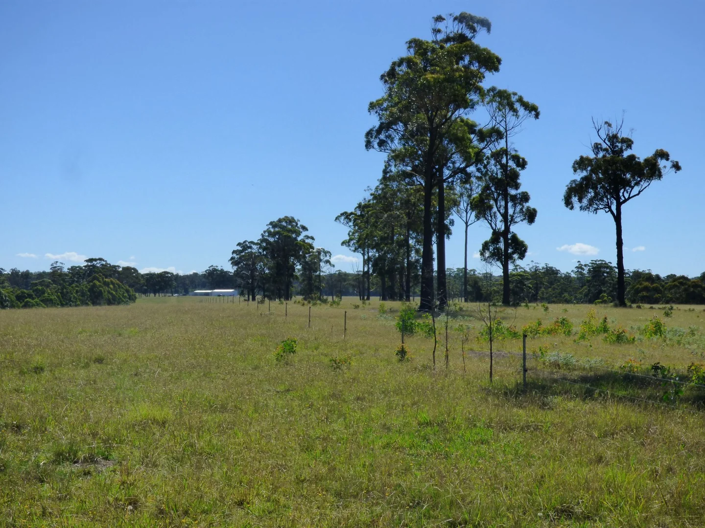 Additional image 18 of 218 Cabbage Tree - Conran Road, Cabbage Tree Creek VIC 3889