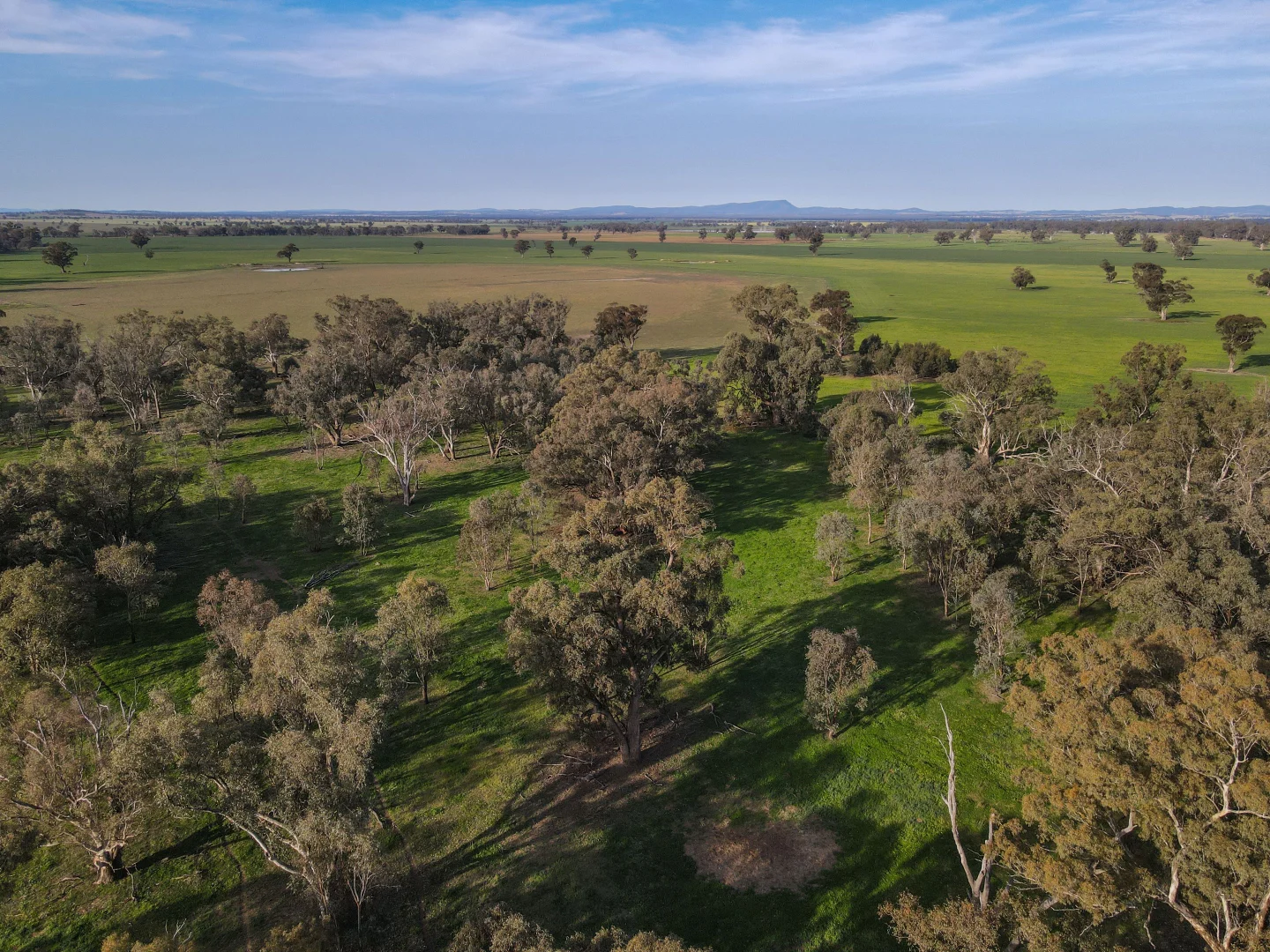 Additional image 12 of 11025 "Lima" The Escort Way, Forbes NSW 2871