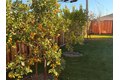 Additional image 21 of 2121 Francis Ave, Santa Clara, CA, 95051