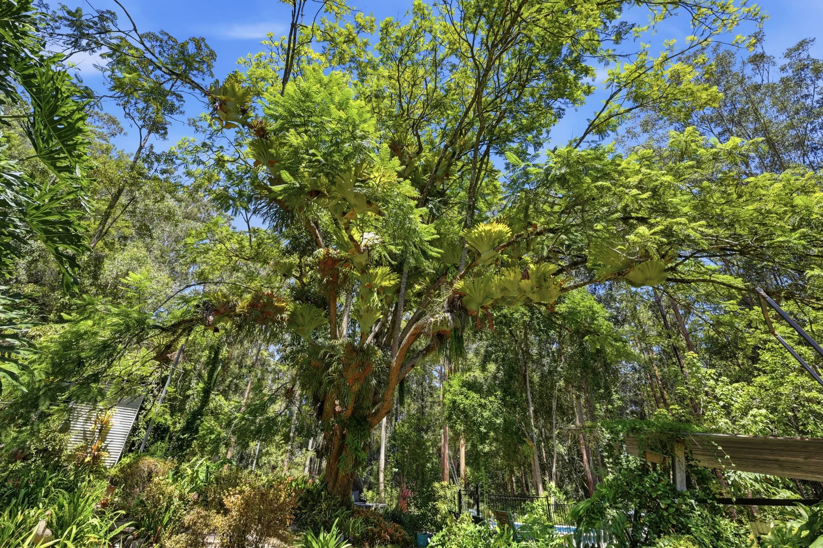 Additional image 27 of 1652 Lorne Road, Kerewong NSW 2439