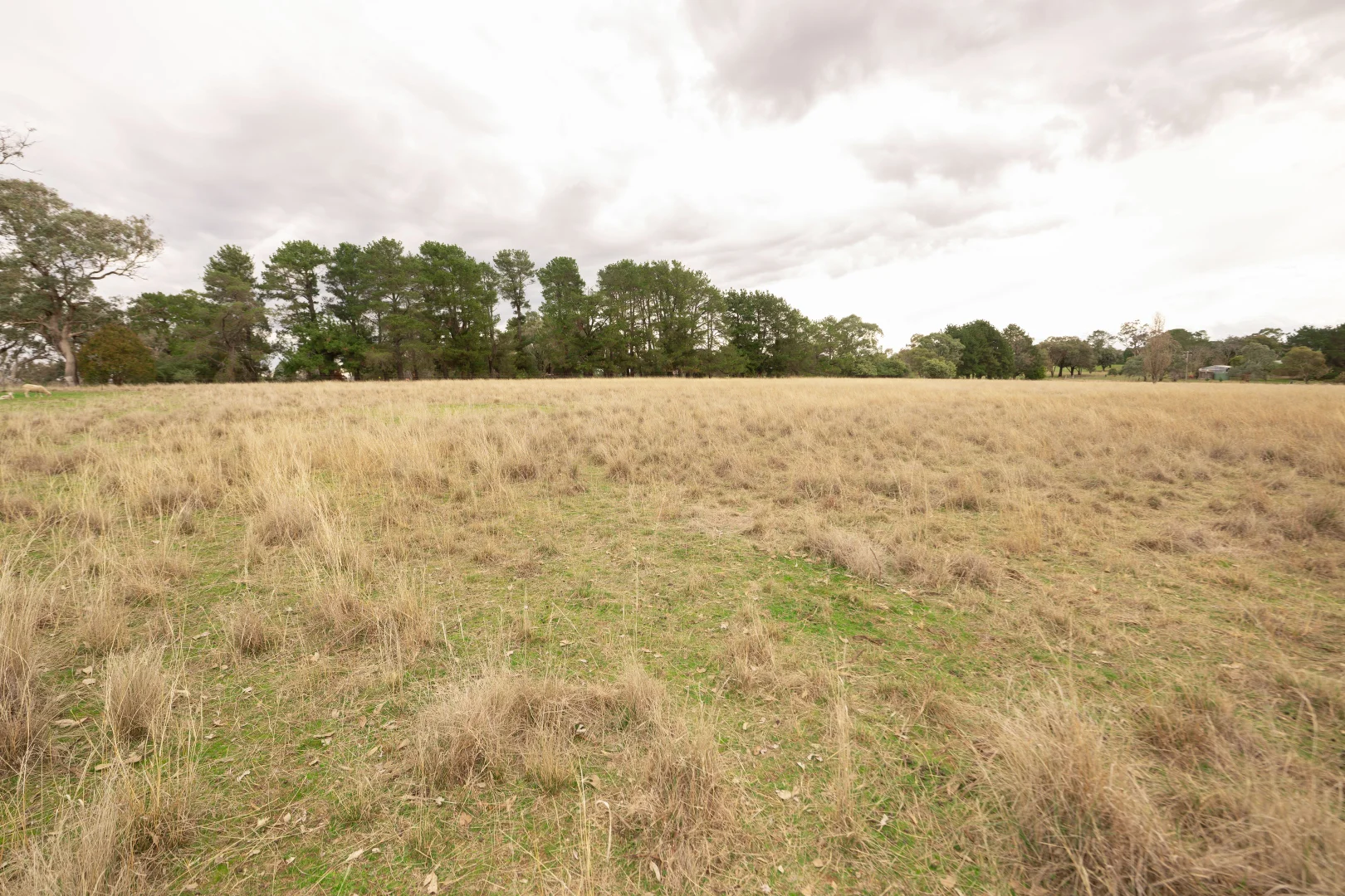 Additional image 14 of 149 Stephens Street, Binalong NSW 2584