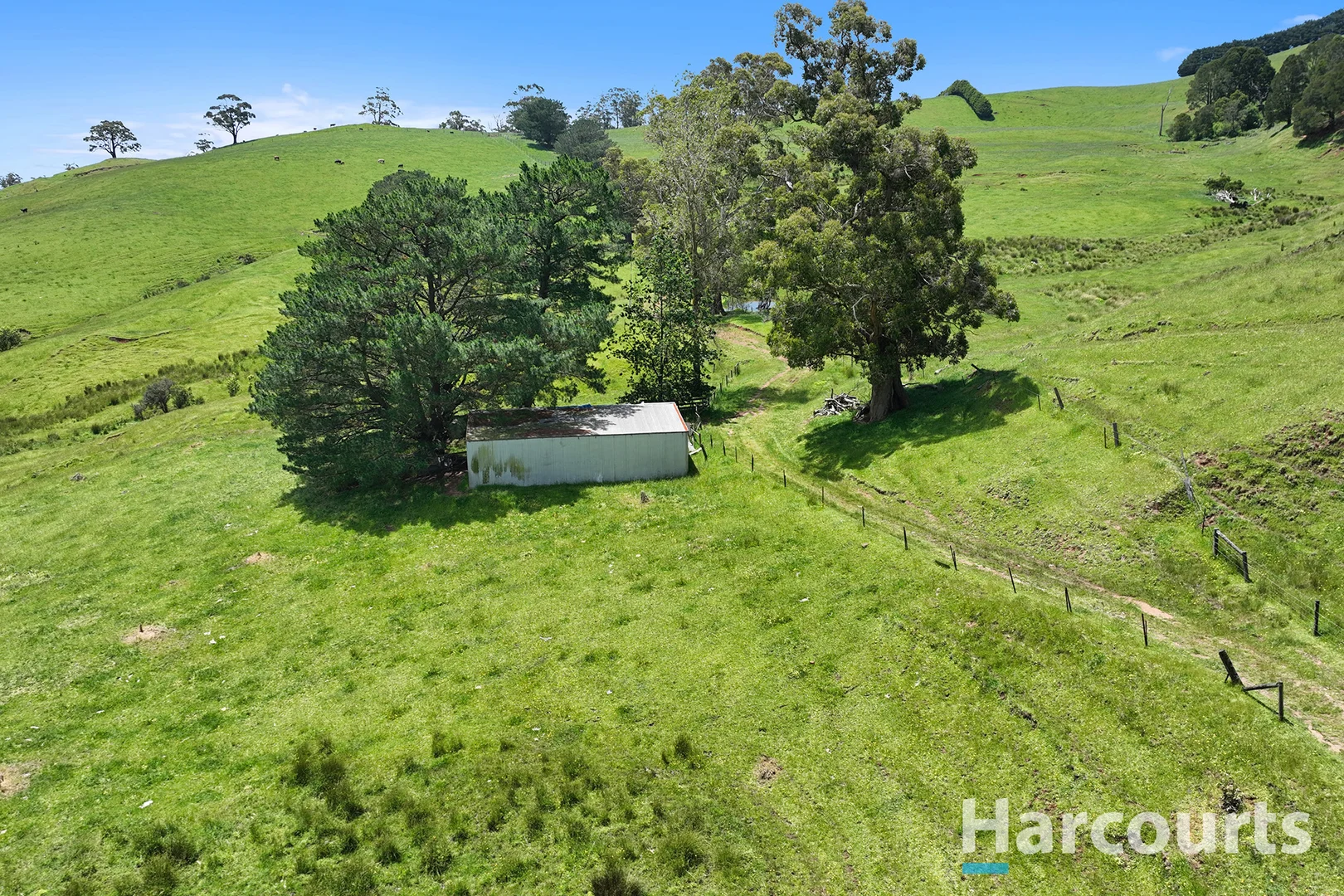 Additional image 8 of 1246 Trafalgar Thorpdale Road, Trafalgar South VIC 3824