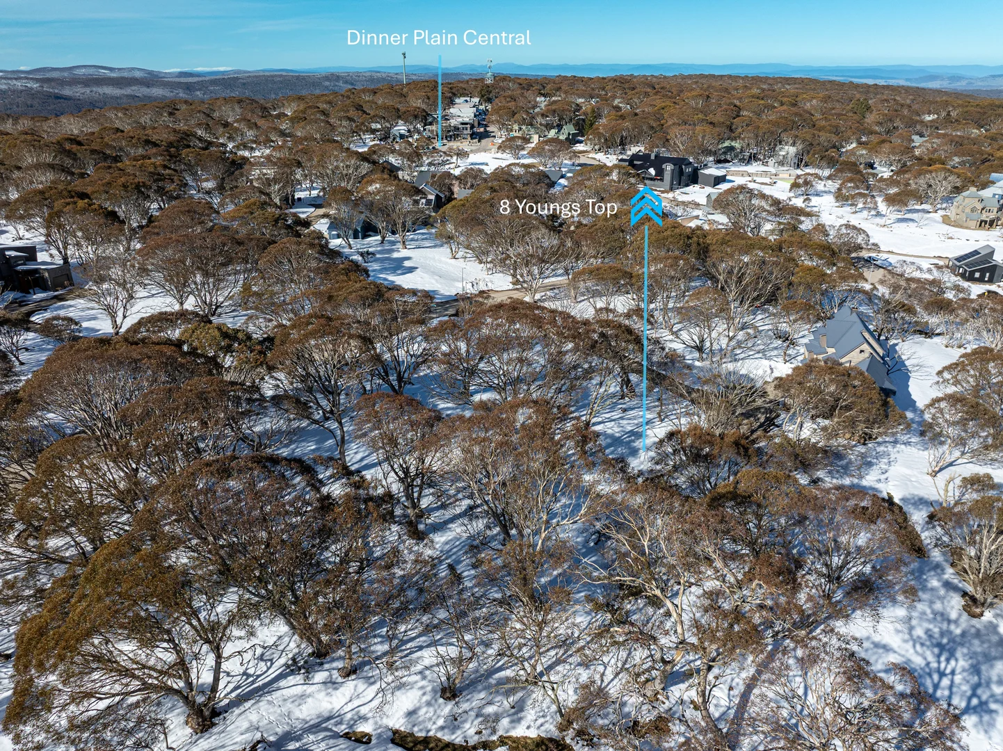 Additional image 7 of 8 Youngs Top, Dinner Plain VIC 3898