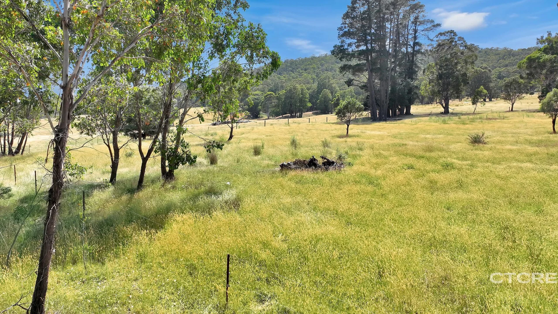 Additional image 8 of 3022 Benambra - Corryong Road, Benambra VIC 3900