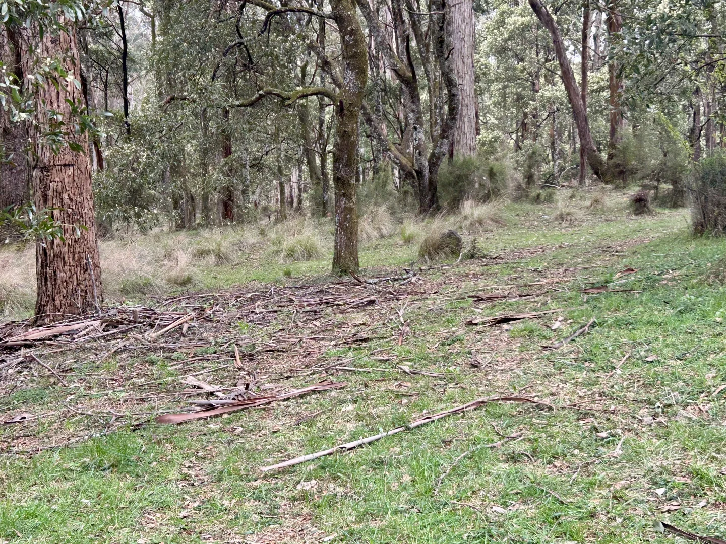 Additional image 11 of 975 Daylesford-Trentham Road, Bullarto VIC 3461