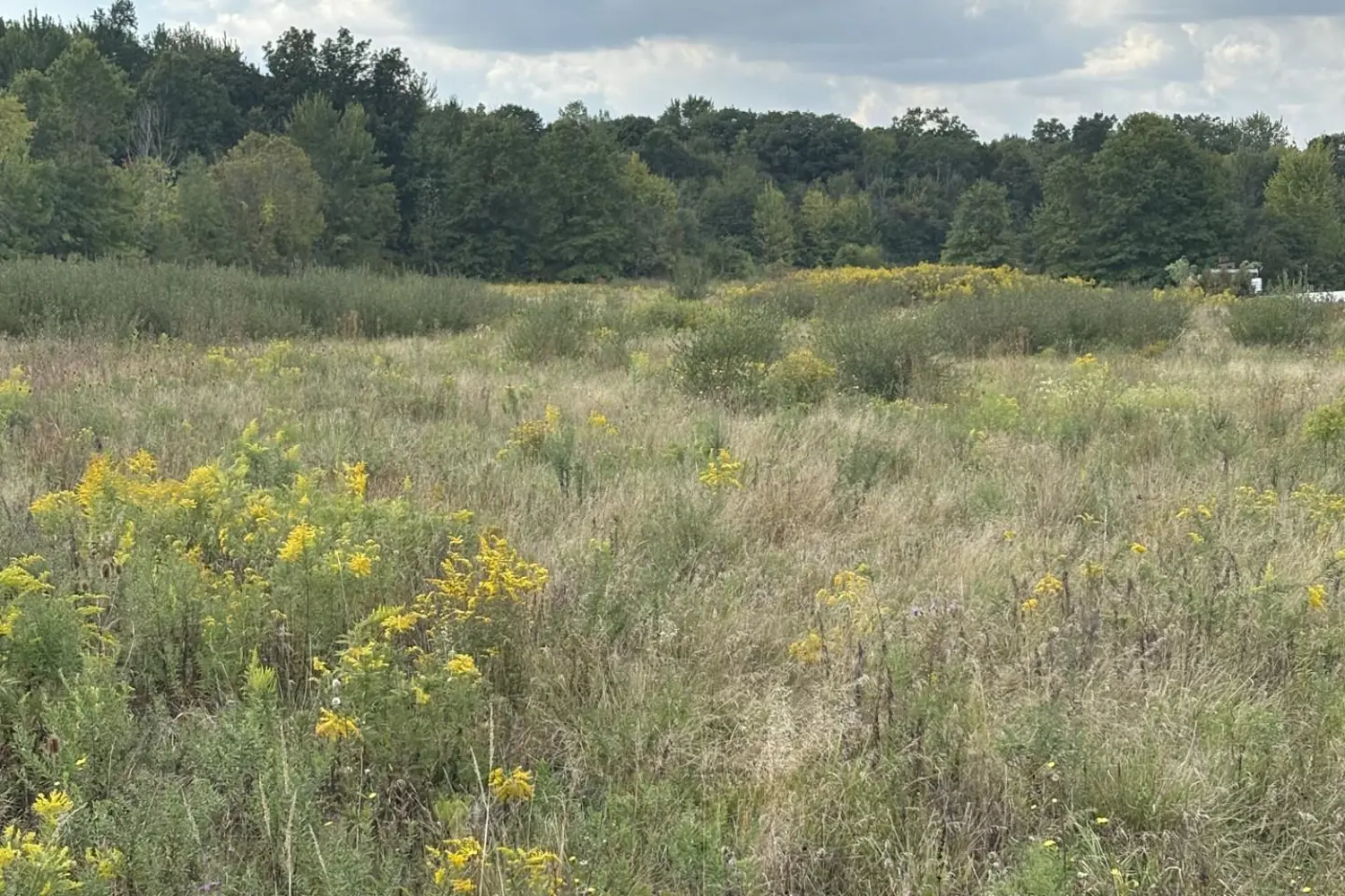 Additional image 4 of N/A Green Road