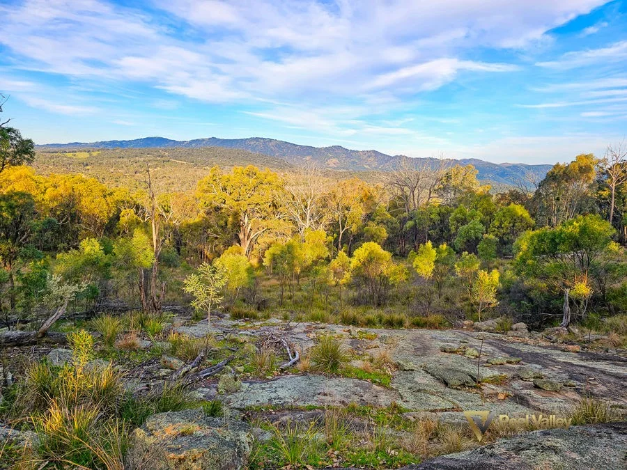 Additional image 26 of 829 New England Gully Road, Moonbi NSW 2353