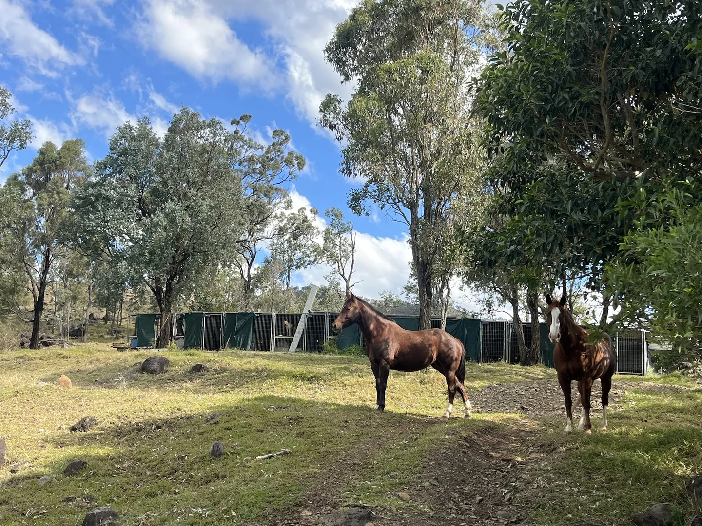 Additional image 16 of 1679 Ingoldsby Road, Ingoldsby QLD 4343