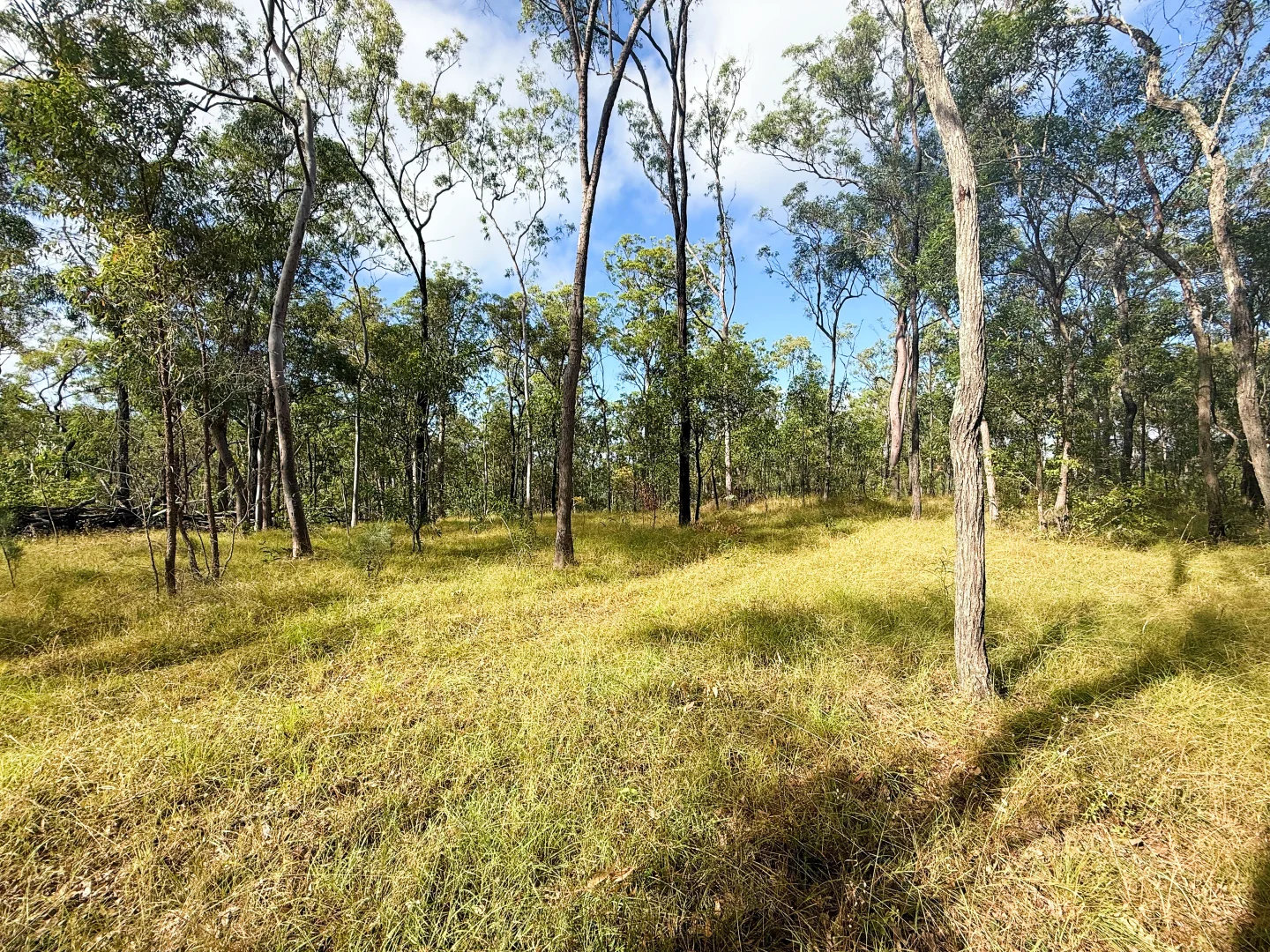 Additional image 20 of Lot 10/931 Nearum Road, Nearum QLD 4671