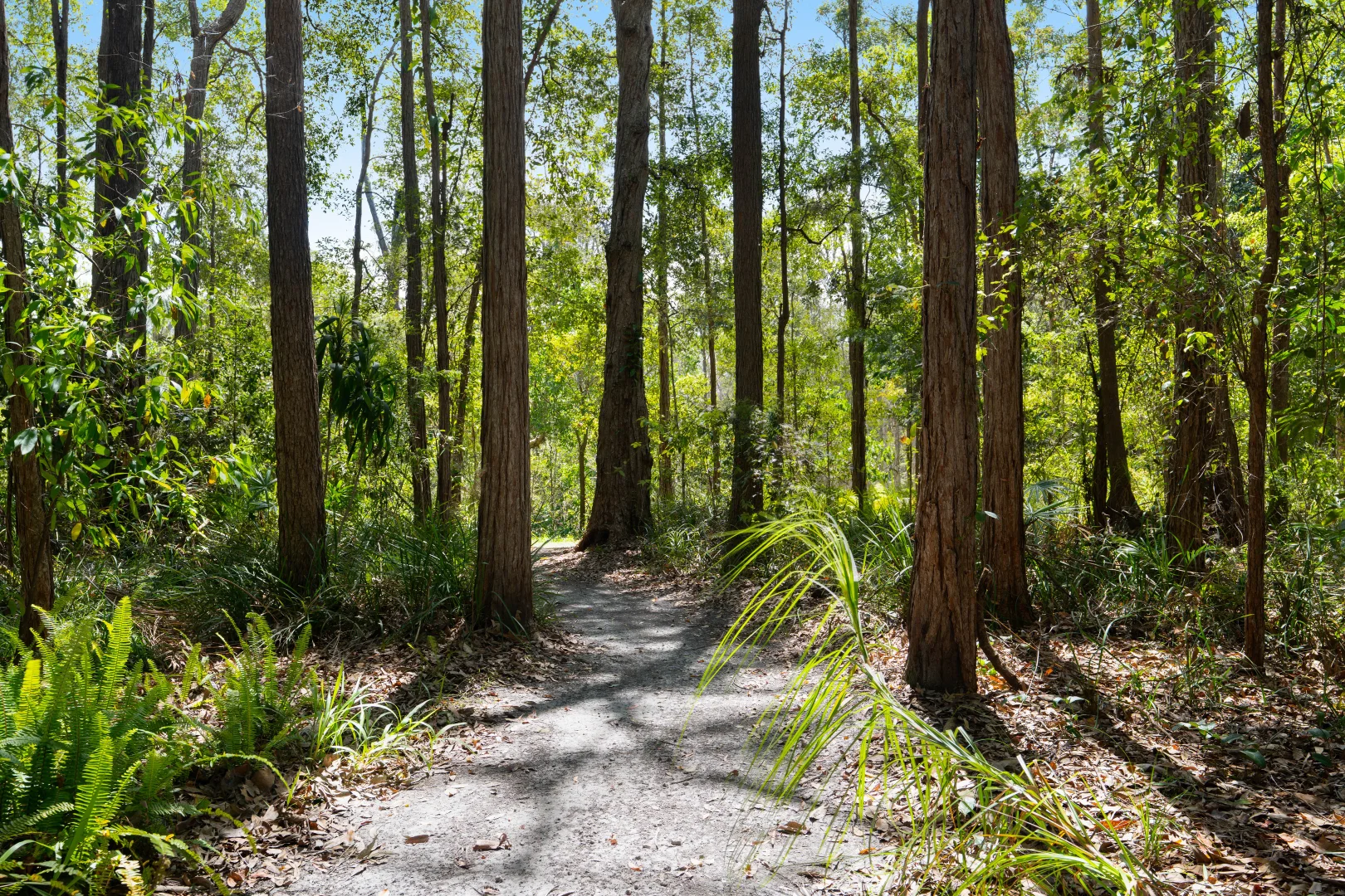 Additional image 21 of 30 Lake Entrance Boulevard, Noosaville QLD 4566