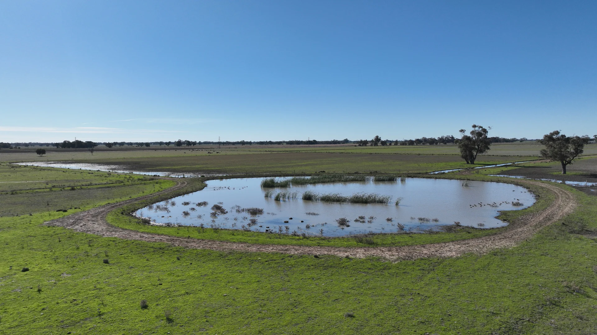 Additional image 38 of Shady Gums Birganbigil Road, Deniliquin NSW 2710