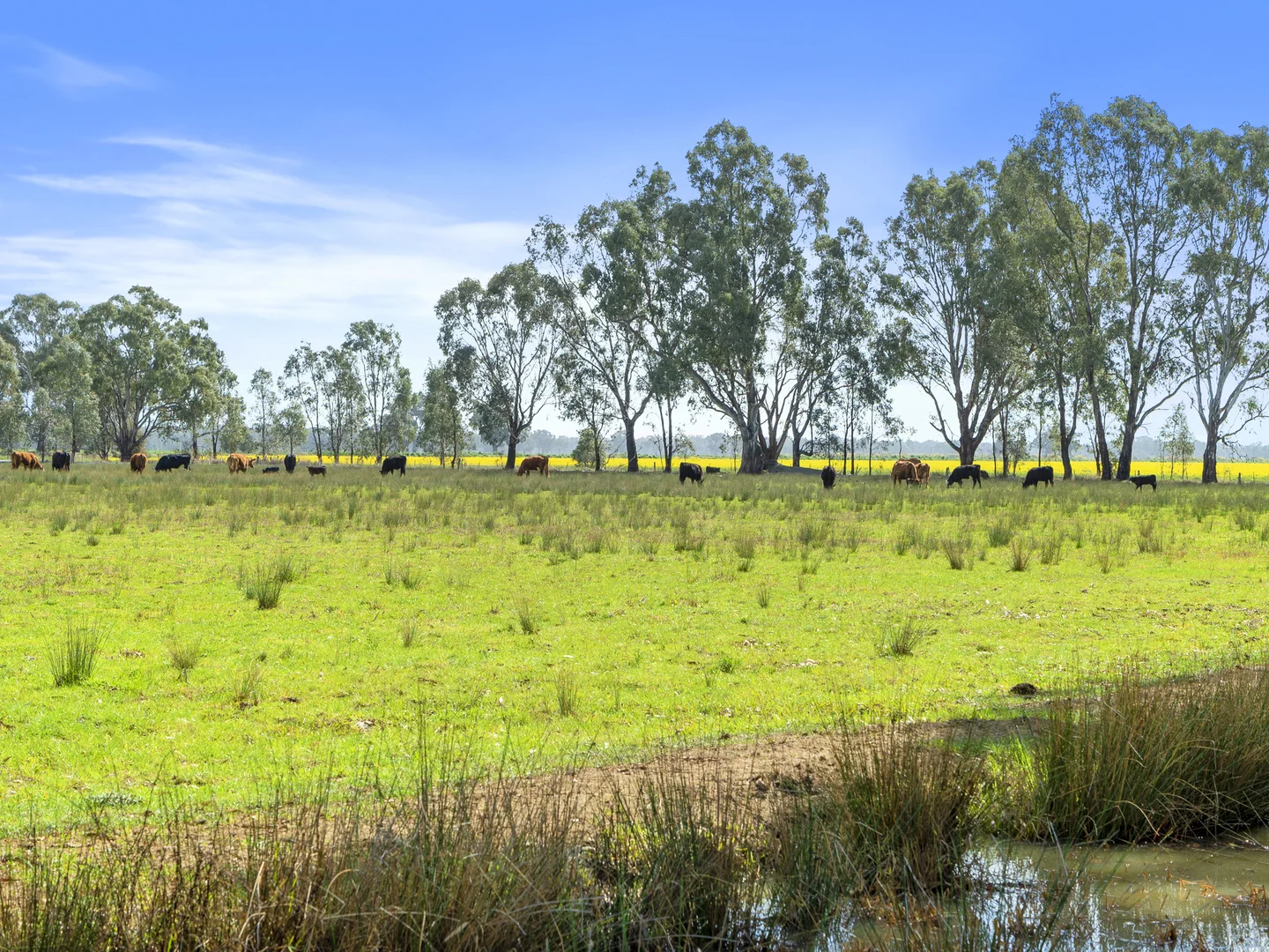 Additional image 15 of 930 Bearii East Road, Strathmerton VIC 3641