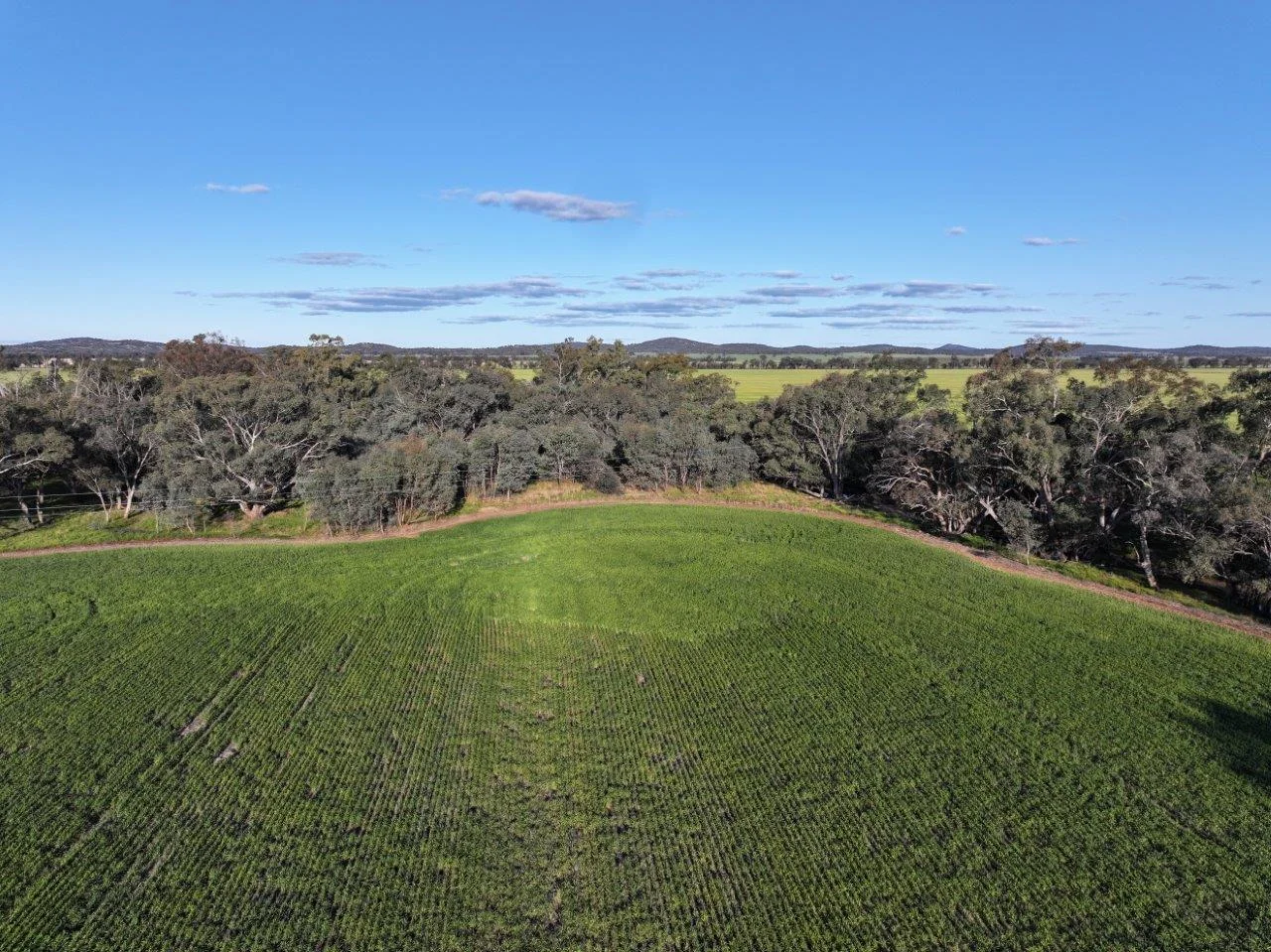 Part Westbury Goldfields Way, Barmedman NSW 2668