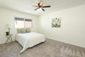 Additional image 16 of 6816 Camphor Ln, San Diego, CA, 92139