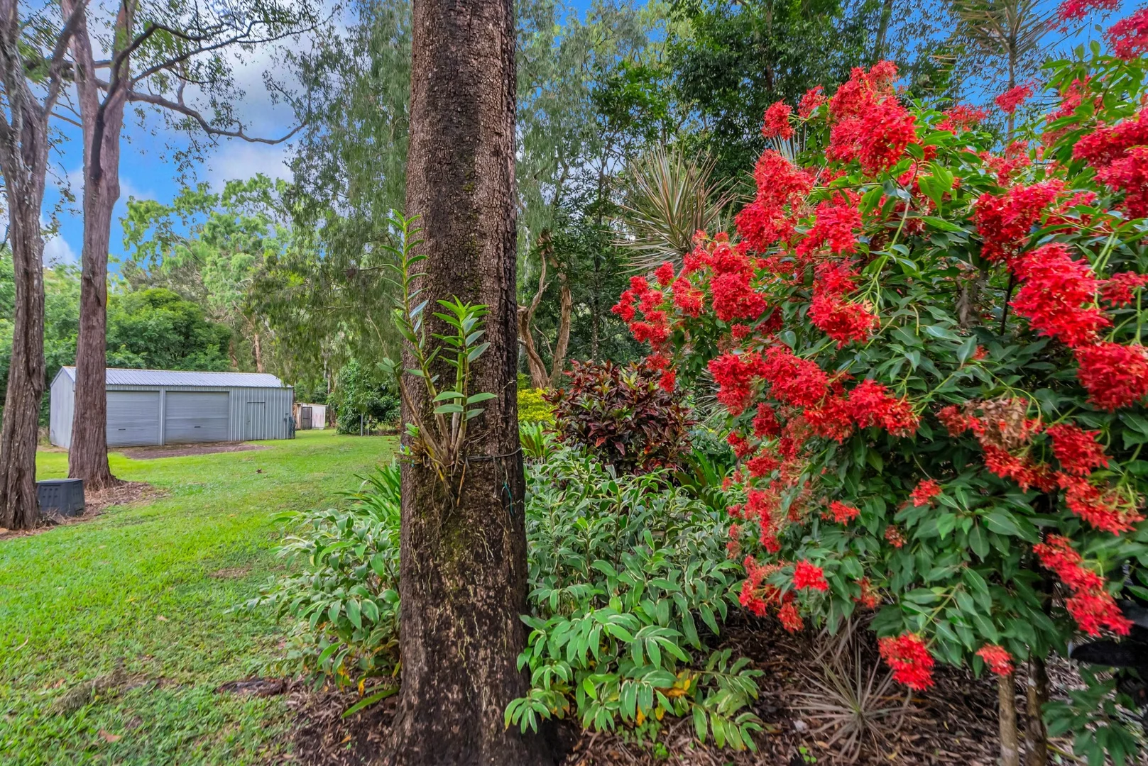 Additional image 31 of 2223 Pine Creek Yarrabah Road, East Trinity QLD 4871