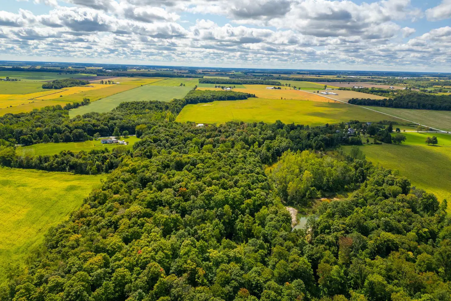 Additional image 20 of 5252 Egremont Road