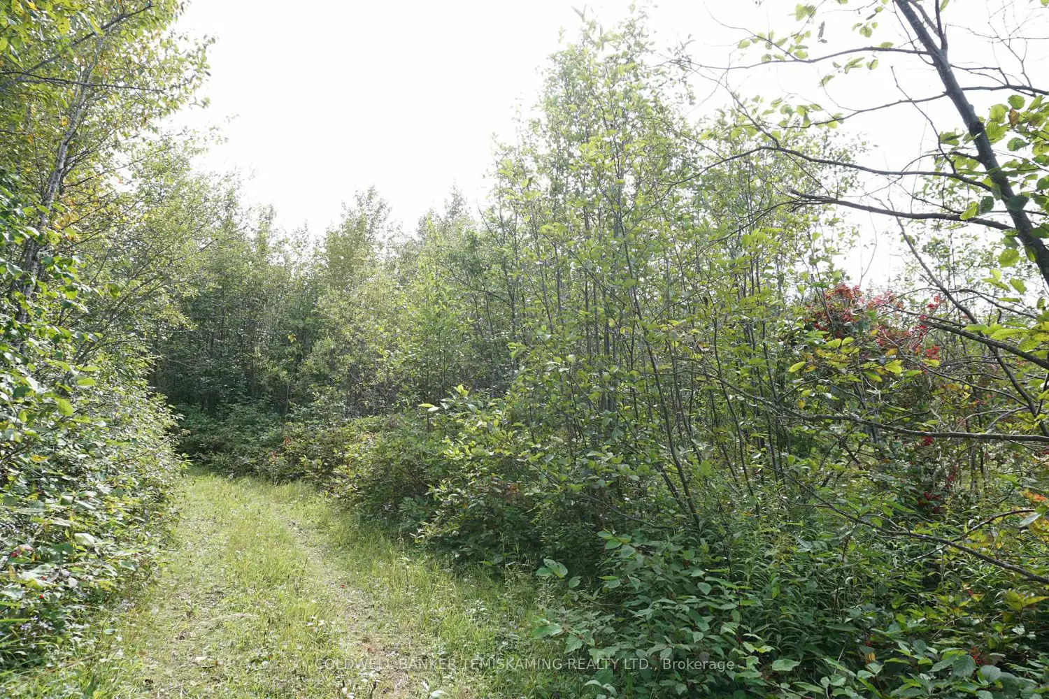 Additional image 19 of Lot 1 Campbell's Road