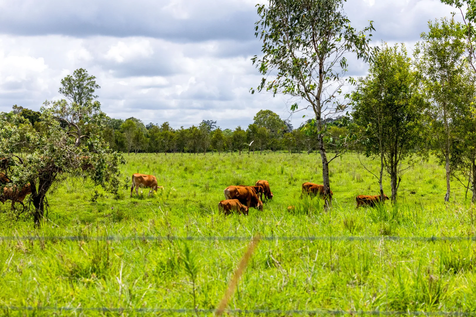 Additional image 9 of 6 Canando Street, Woodford QLD 4514