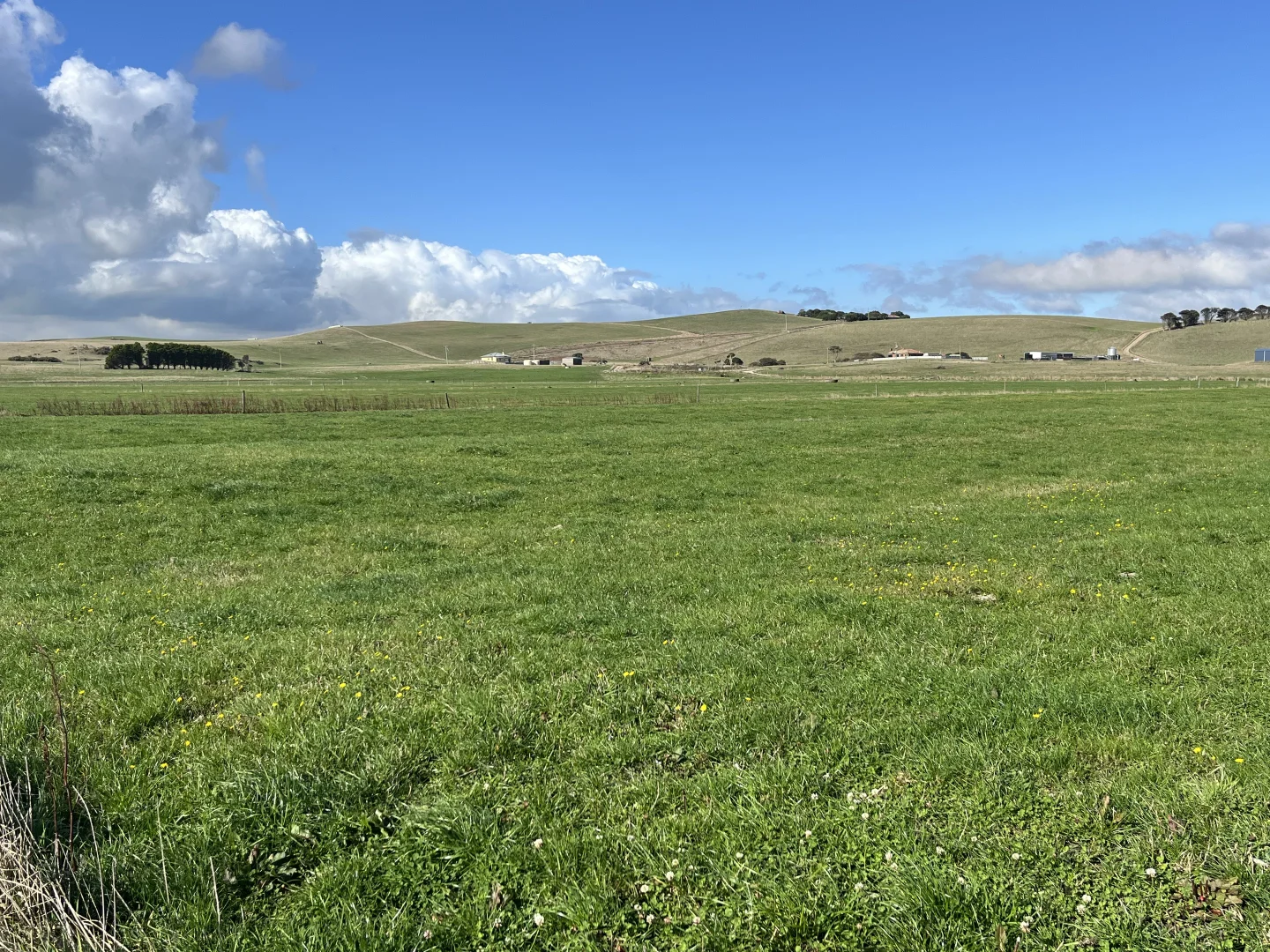 Additional image 22 of 129 & 131 Bens Hill Road, Montagu TAS 7330