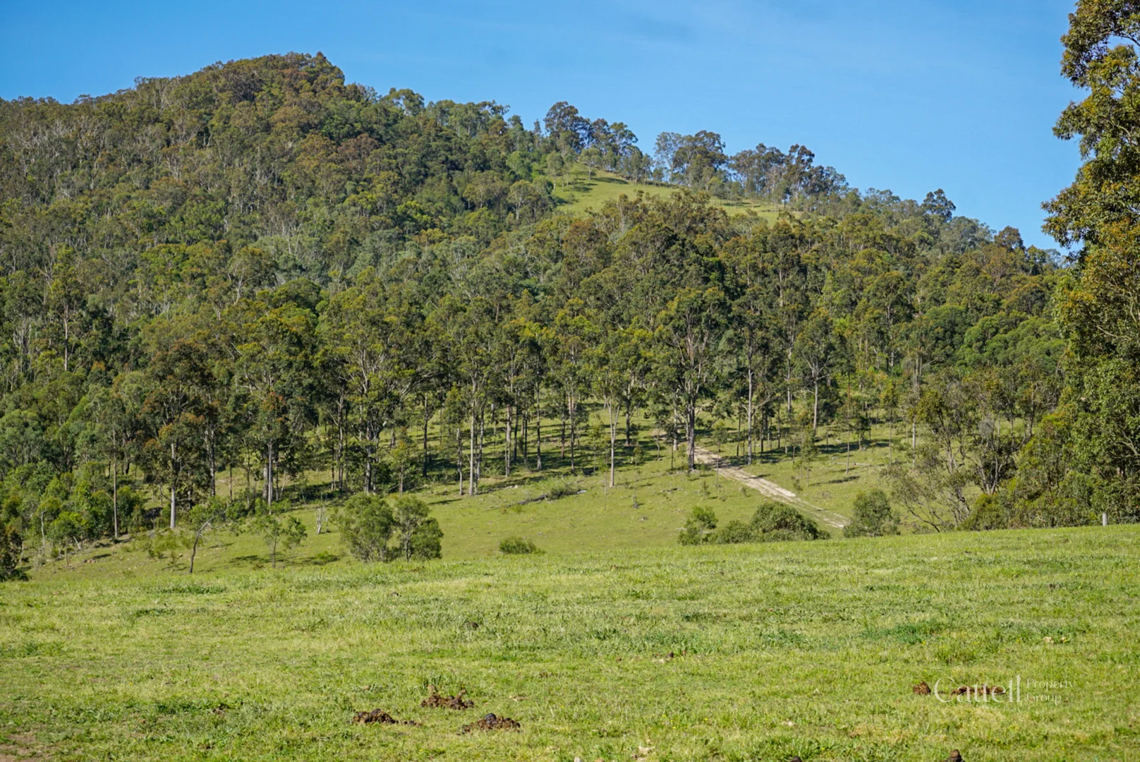 Additional image 5 of 60 Blue Bonnett Road, Lambs Valley NSW 2335