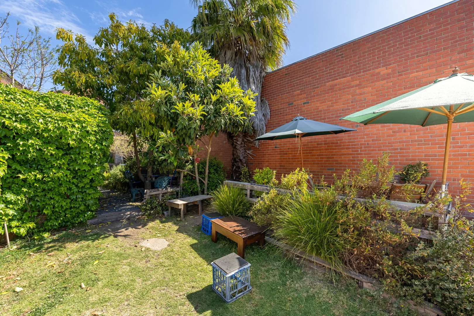 Additional image 11 of 161 Carp Street, Bega NSW 2550
