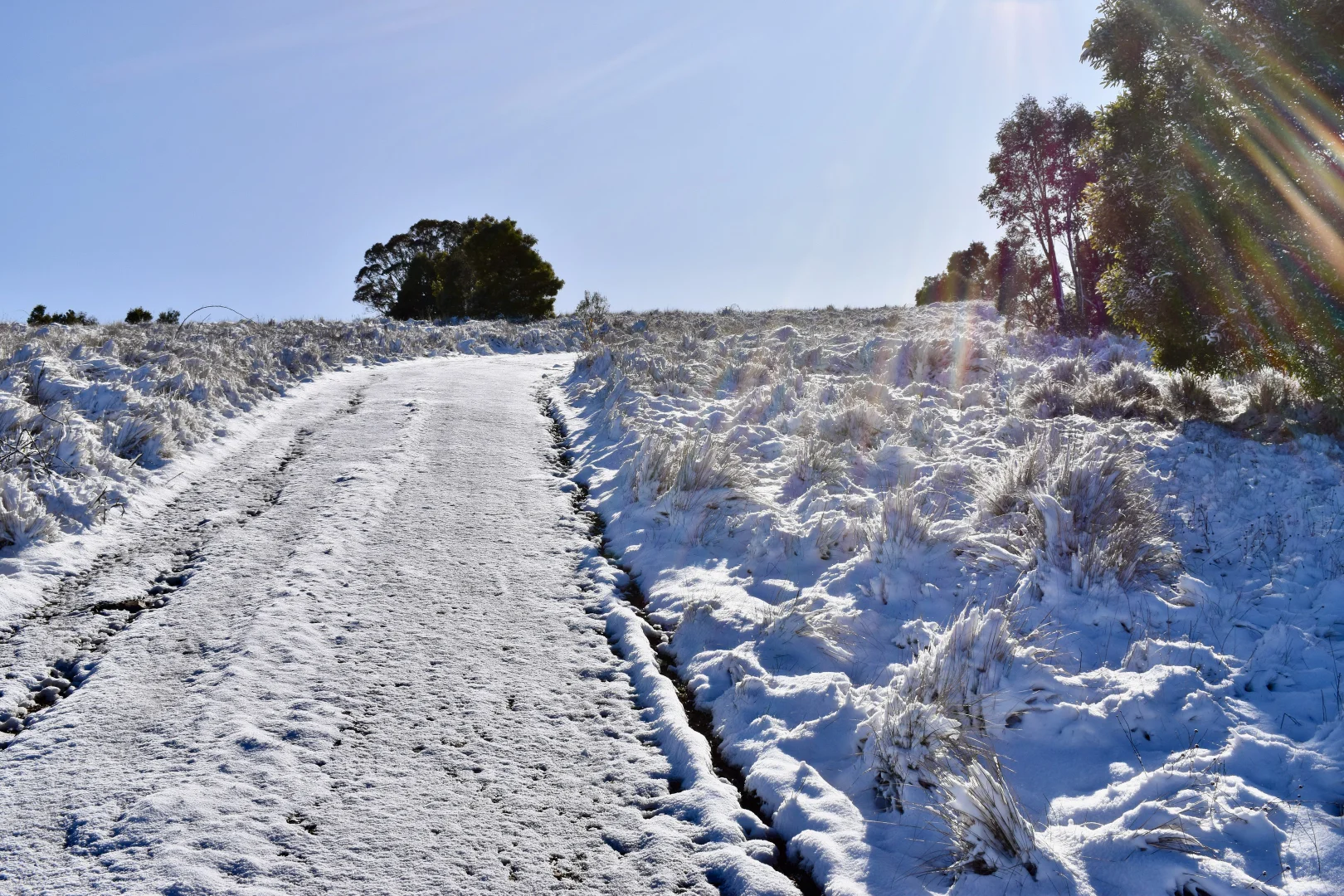 Additional image 21 of 363 Sheepstation Forest Road, Gingkin NSW 2787