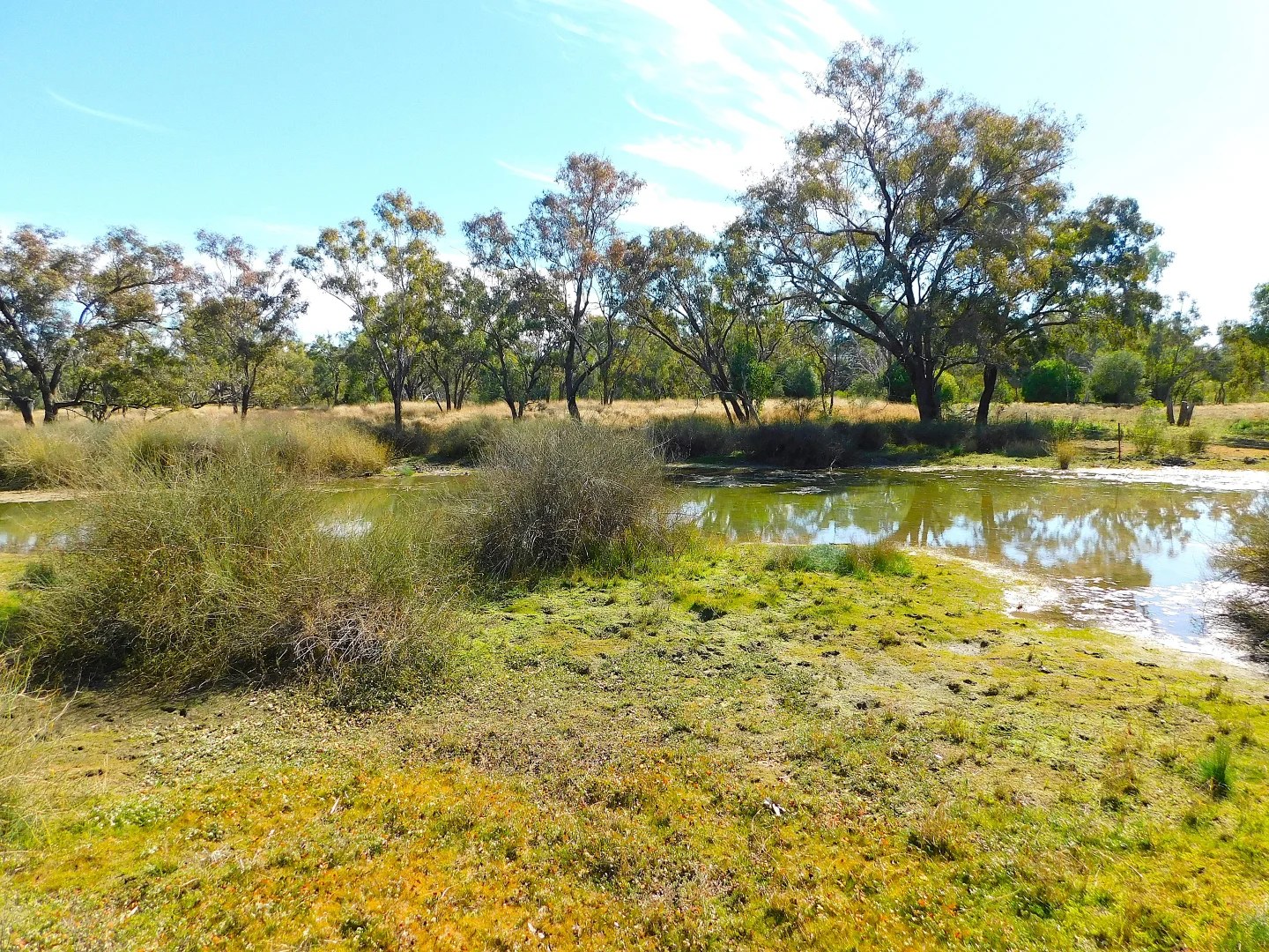 Additional image 17 of 0 Old Cunnamulla Road, Charleville QLD 4470