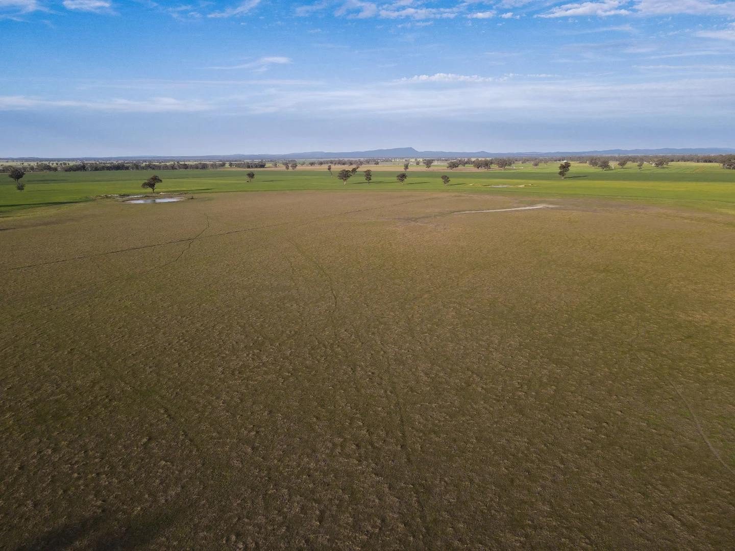 Additional image 20 of 11025 "Lima" The Escort Way, Forbes NSW 2871