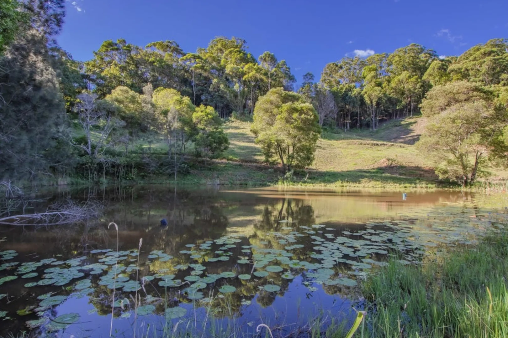 Additional image 14 of Mcauleys Road, Terranora NSW 2486