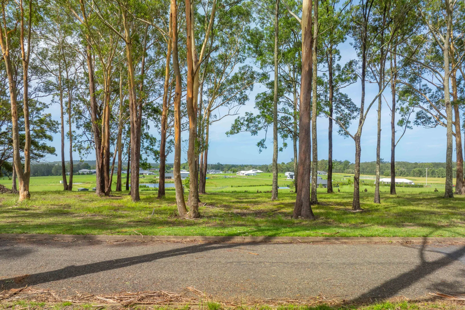 Additional image 7 of Lot 80 Provence Close, Sancrox NSW 2446