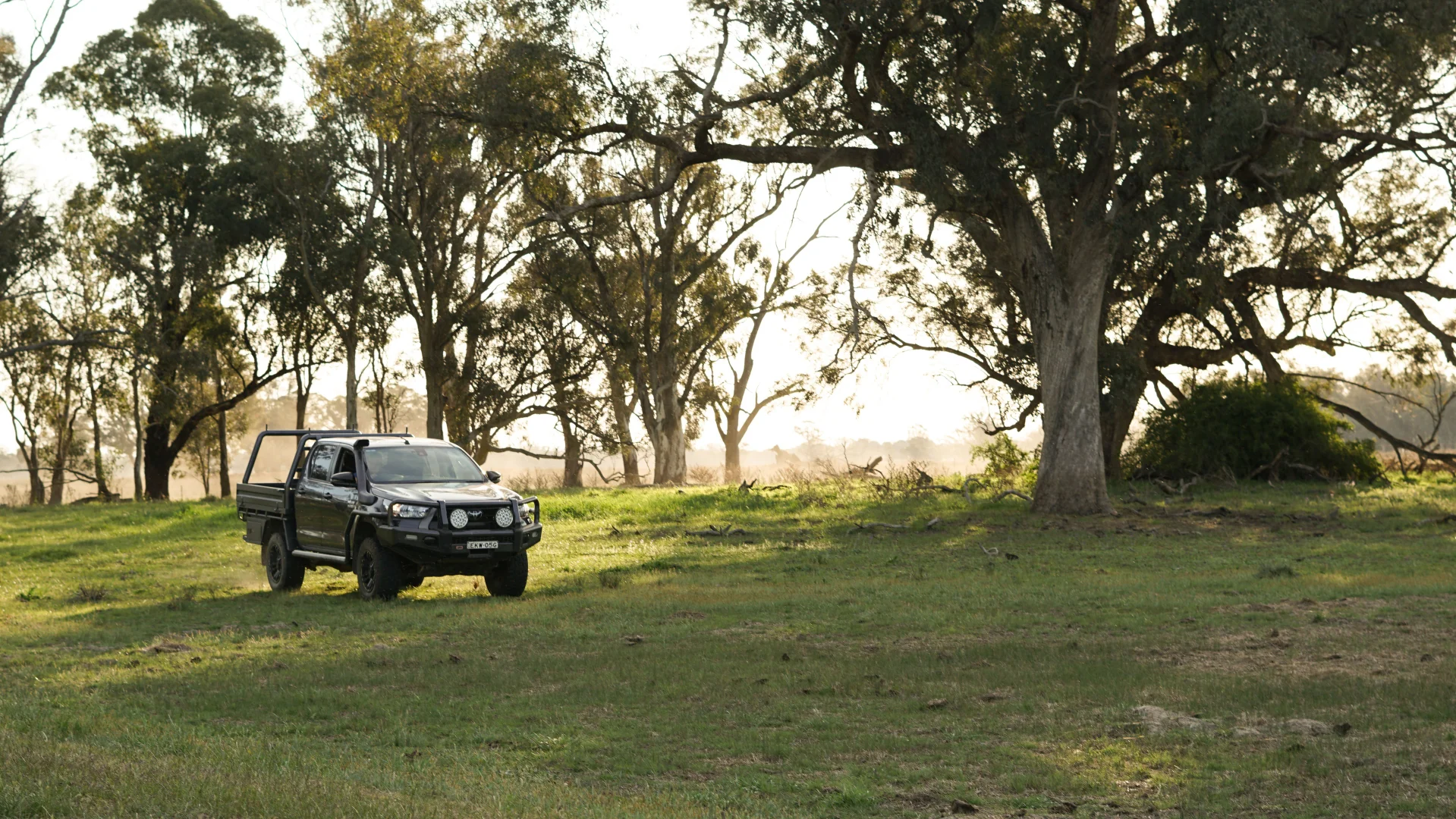 Additional image 6 of 11025 "Lima" The Escort Way, Forbes NSW 2871